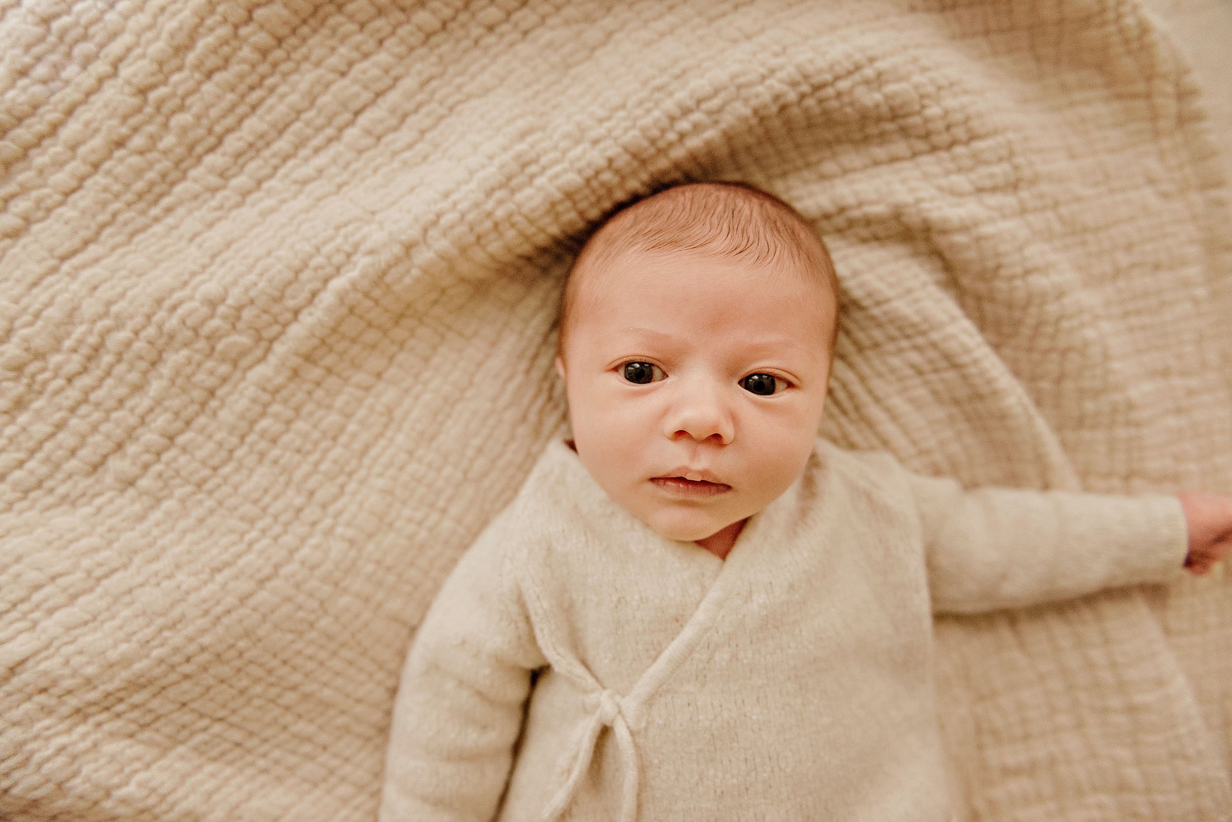 cleveland-ohio-newborn-photographer-lauren-grayson-studio-baby-family-photo-session14.jpg