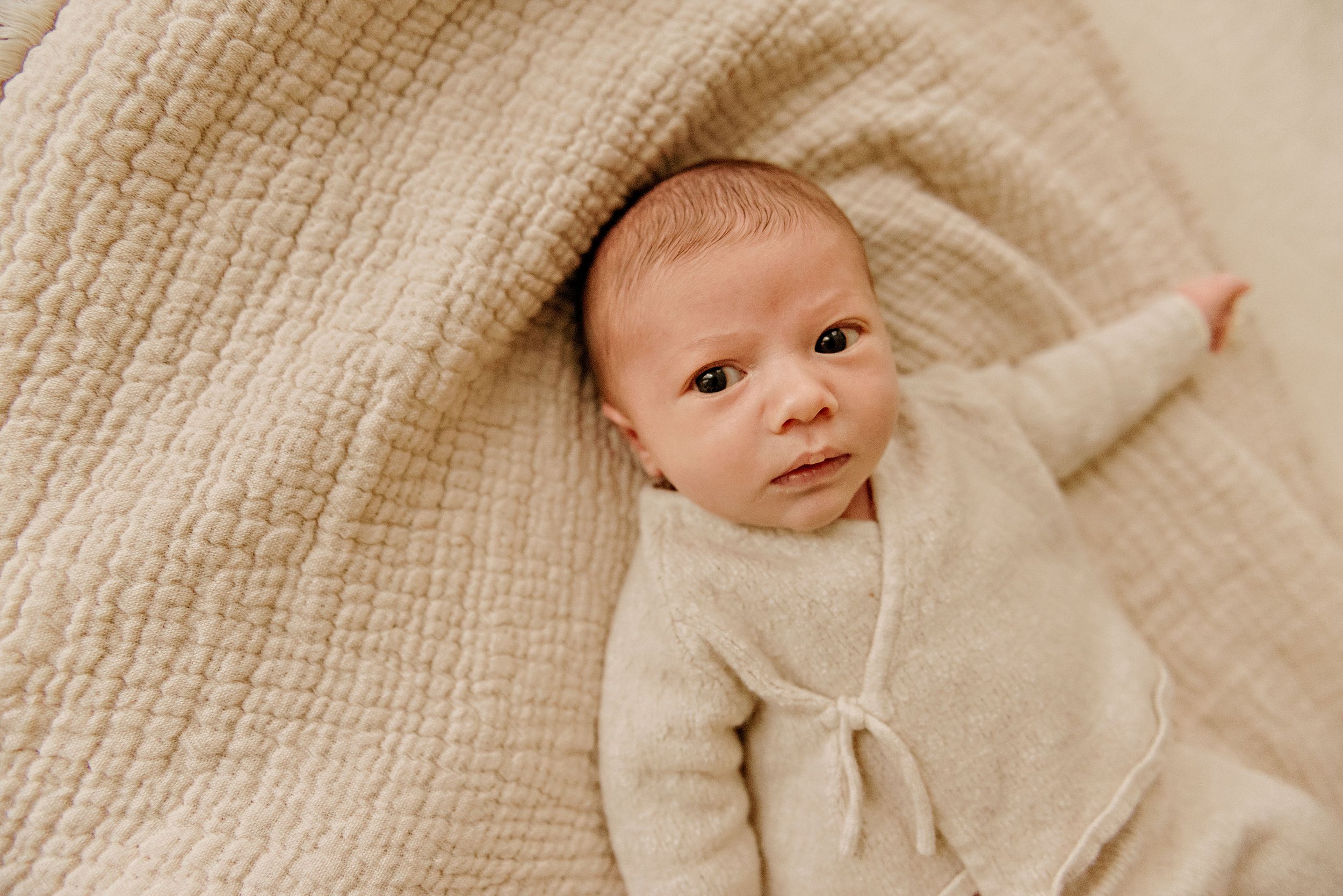 cleveland-ohio-newborn-photographer-lauren-grayson-studio-baby-family-photo-session15.jpg