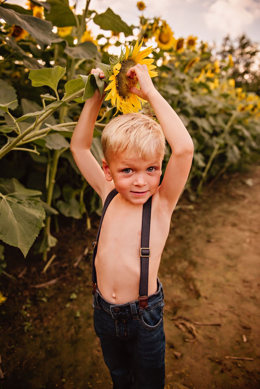 akron-ohio-family-photography-sunflower-field-session7.jpg