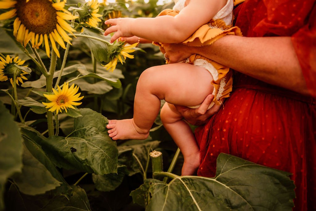 akron-ohio-family-photography-sunflower-field-session9.jpg