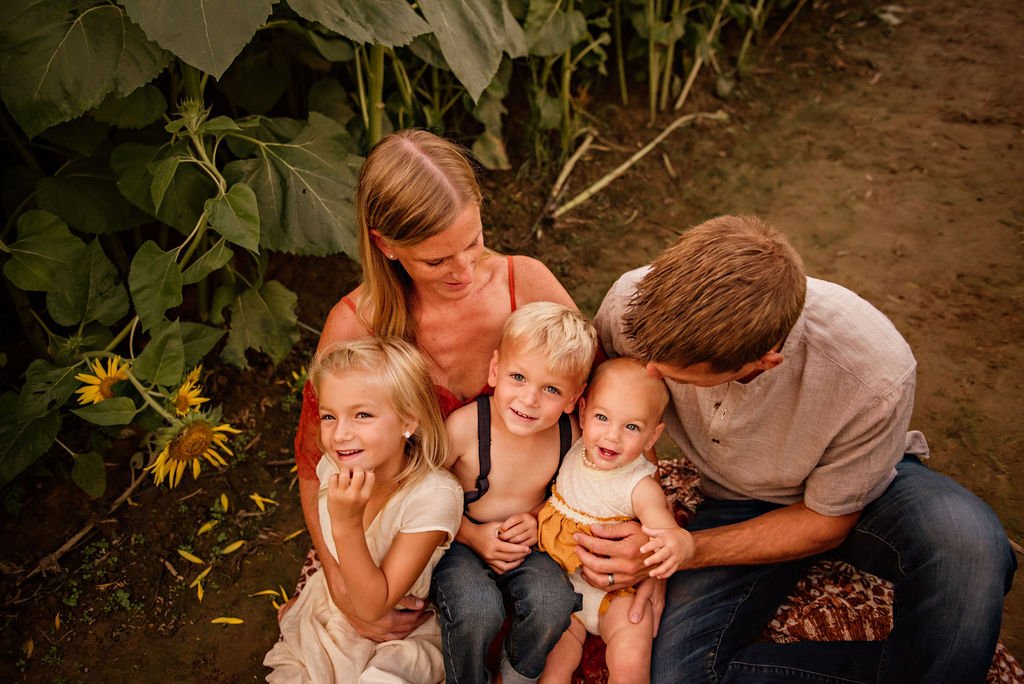 akron-ohio-family-photography-sunflower-field-session14.jpg