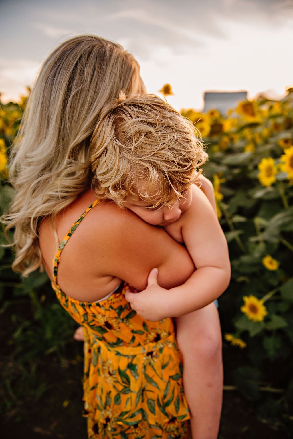 cleveland-ohio-family-photography-sunflower-field-12.jpg