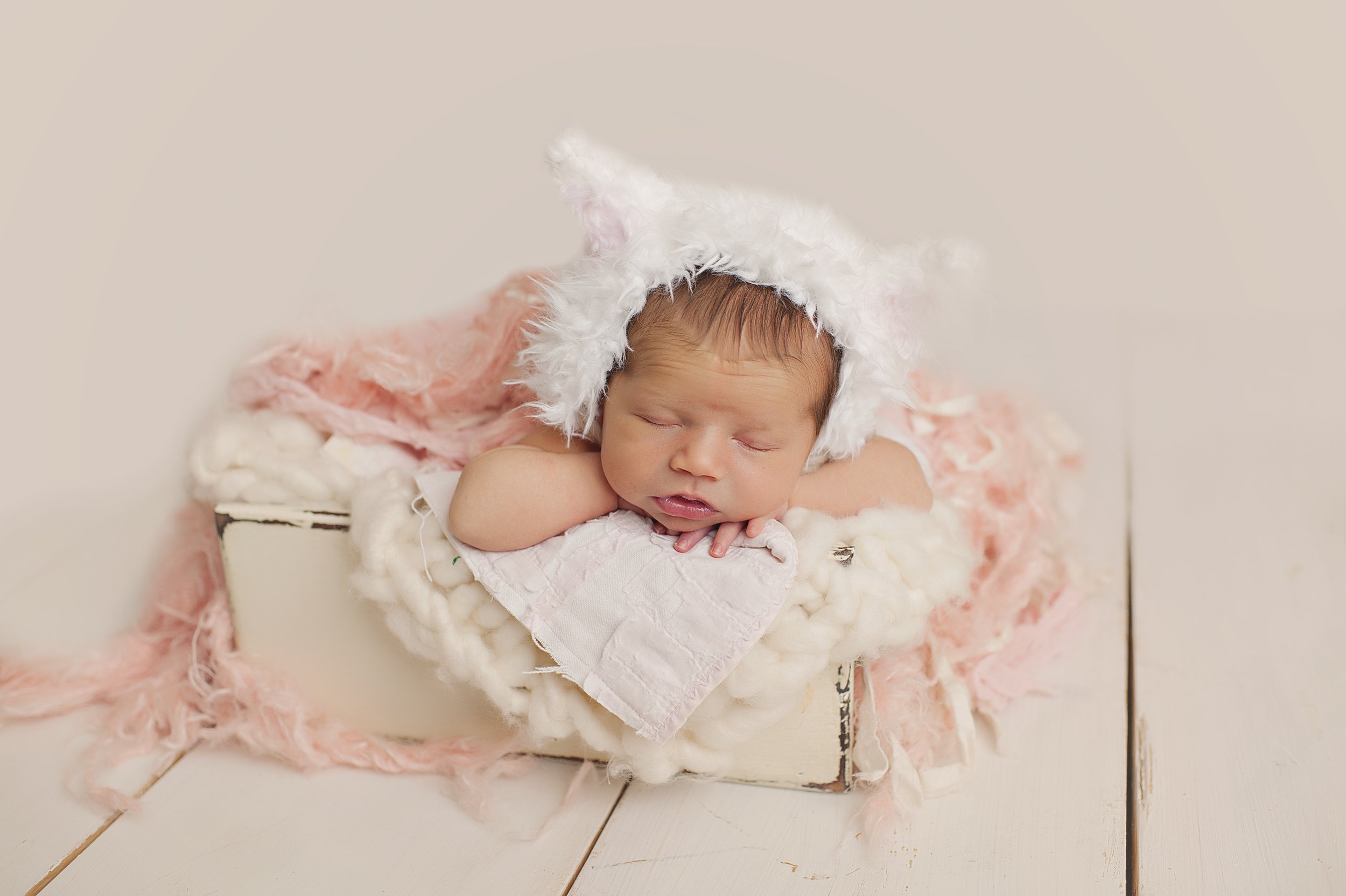 medina-ohio-newborn-photographer-studio-1.jpg