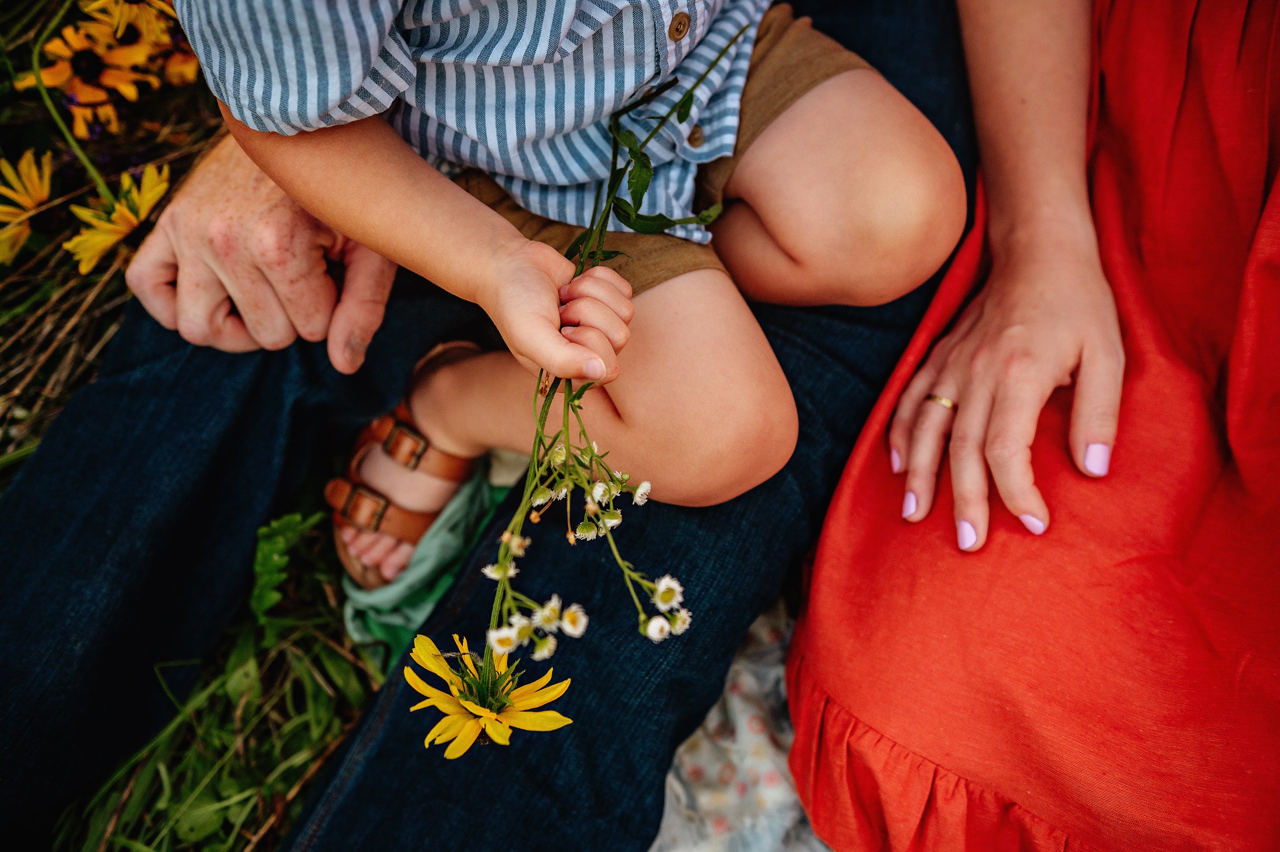 medina-ohio-family-photographer-outdoor-summer-session-15.jpg