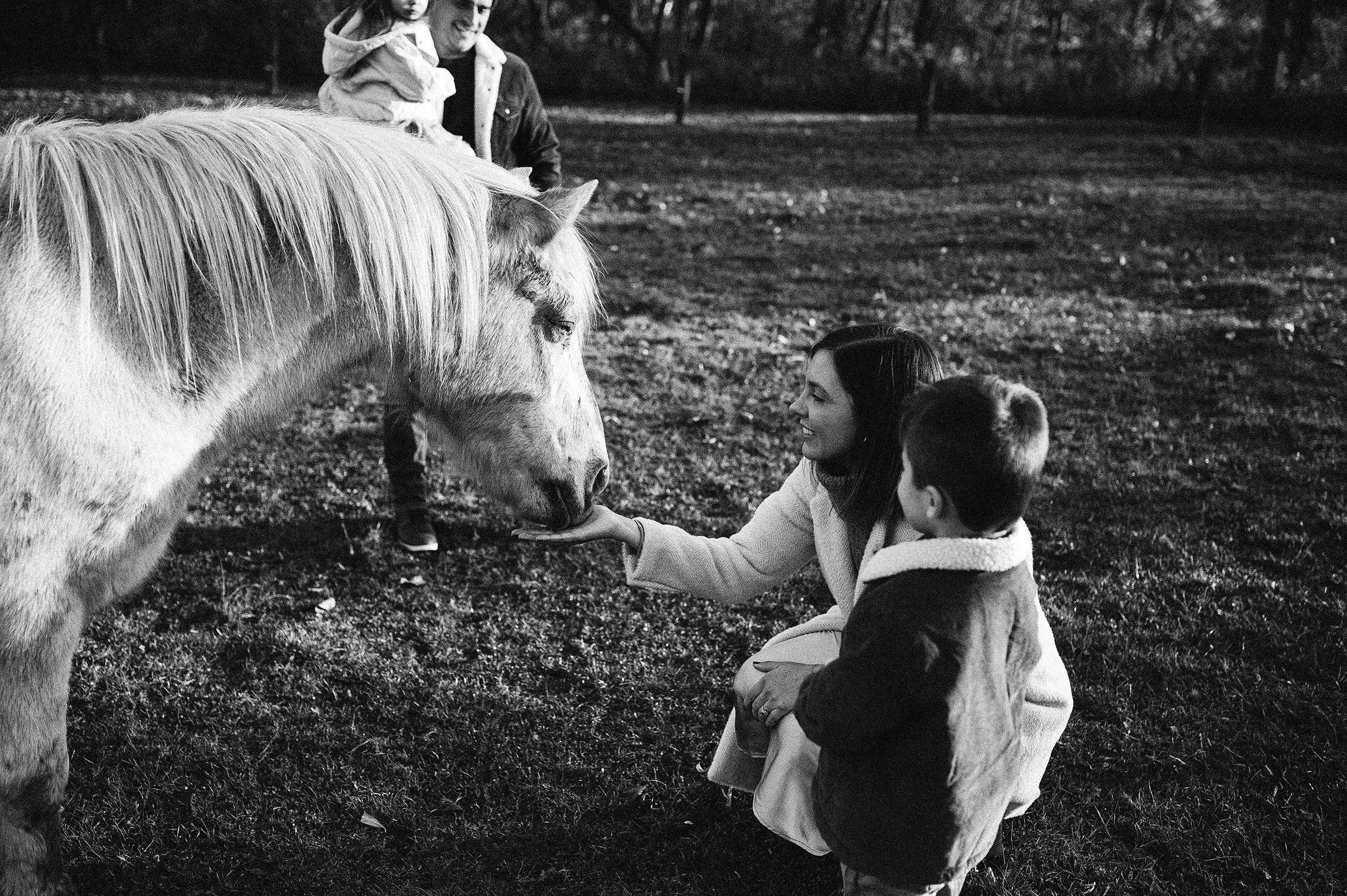 AKRON-OHIO-FAMILY-PHOTOGRAPHER-FARM-HORSES-2.jpg
