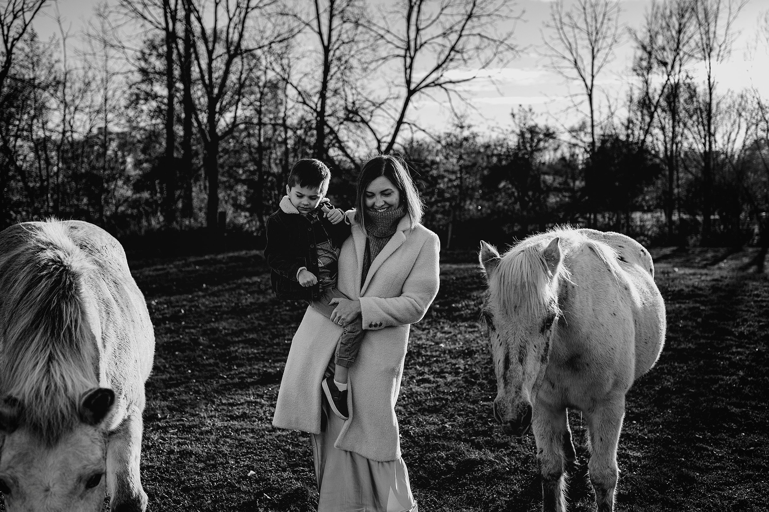 AKRON-OHIO-FAMILY-PHOTOGRAPHER-FARM-HORSES-4.jpg