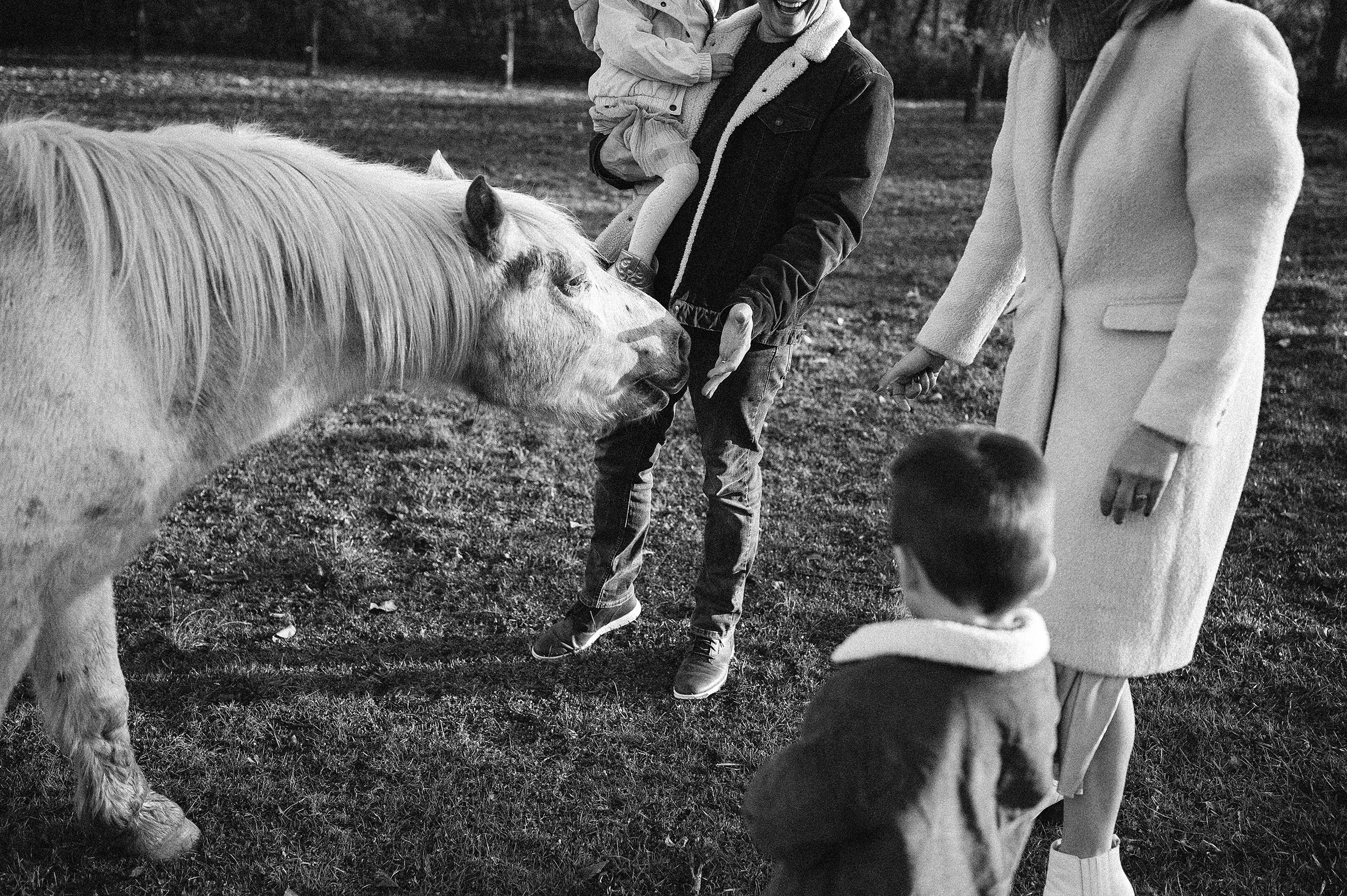 AKRON-OHIO-FAMILY-PHOTOGRAPHER-FARM-HORSES-3.jpg