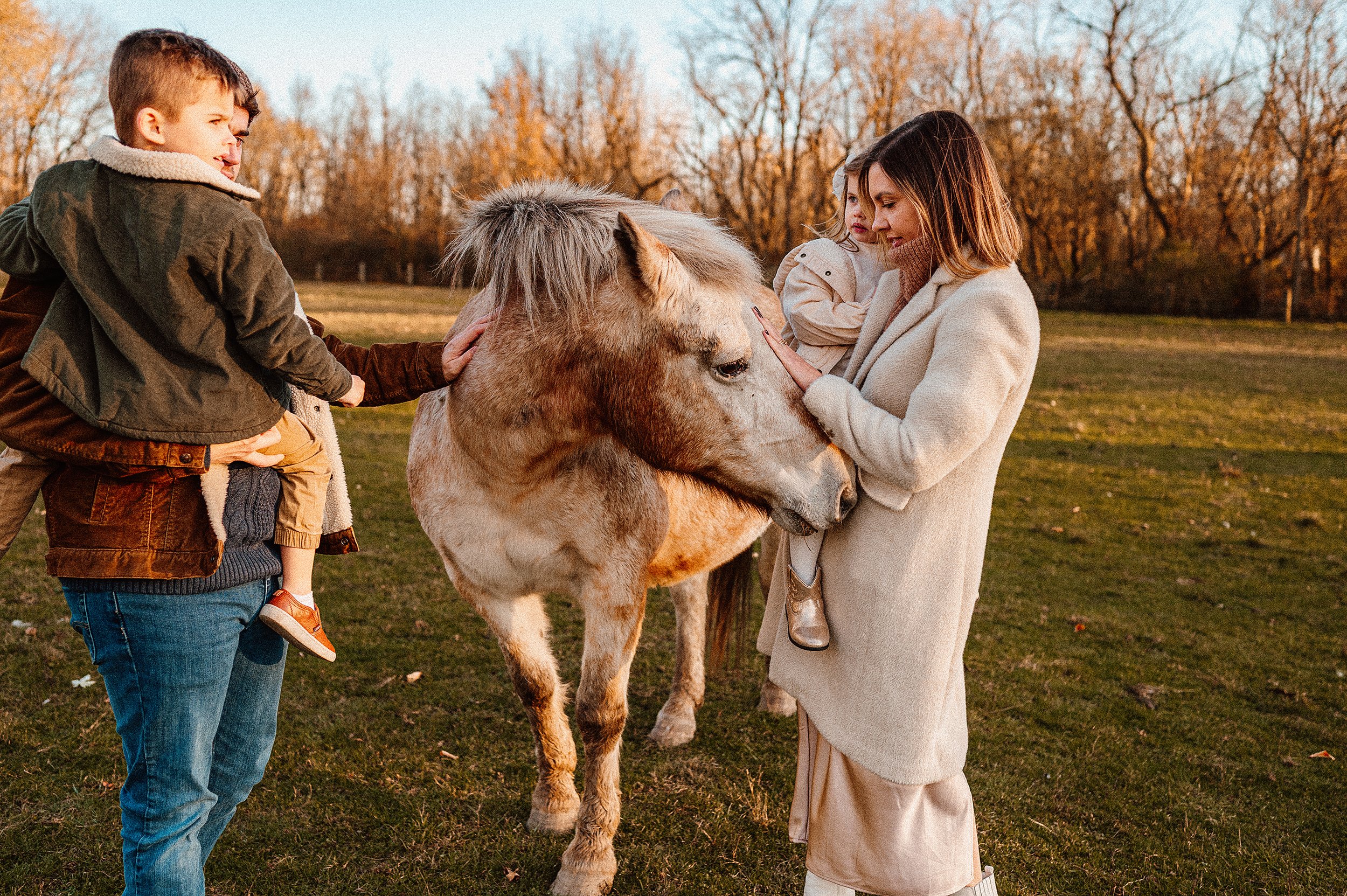 AKRON-OHIO-FAMILY-PHOTOGRAPHER-FARM-HORSES-18.jpg