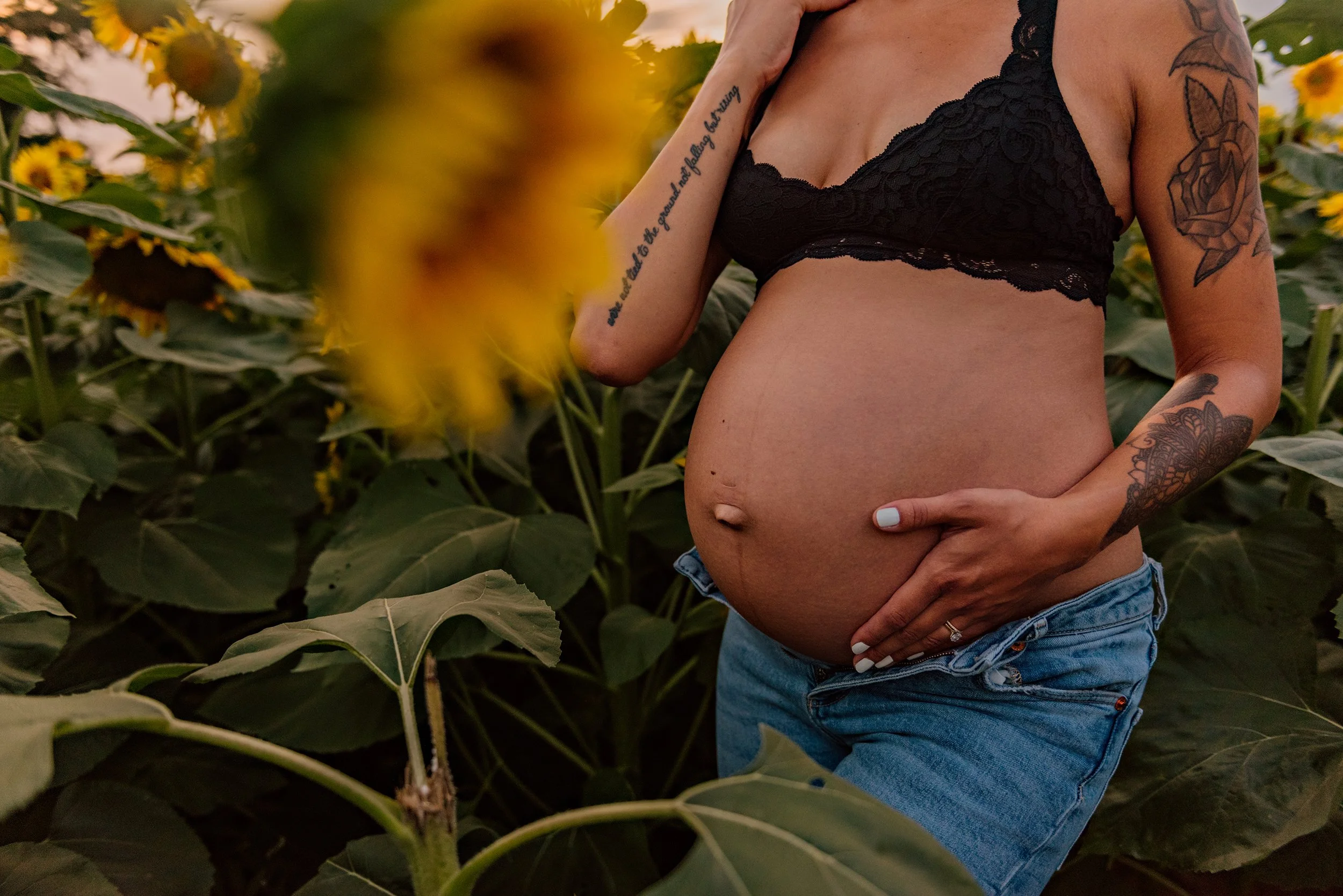 maternity-photographer-sunflower-fields-ohio.jpg