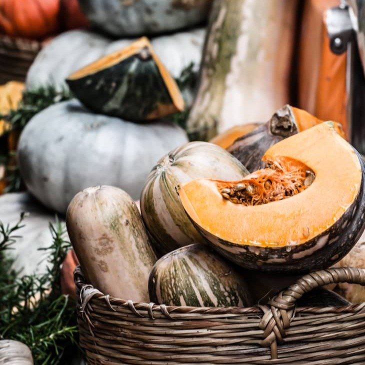 CALLING ALL GIPPSLAND GREEN-THUMBS! 🧑&zwj;🌾🍂

Do you have a Hidden-treasure hiding in your garden? 
As part of our April 18th Autumn Harvest Market, we are holding the first-ever Warragul Farmers Market Pumpkin Competition! 

Whether it&rsquo;s a 