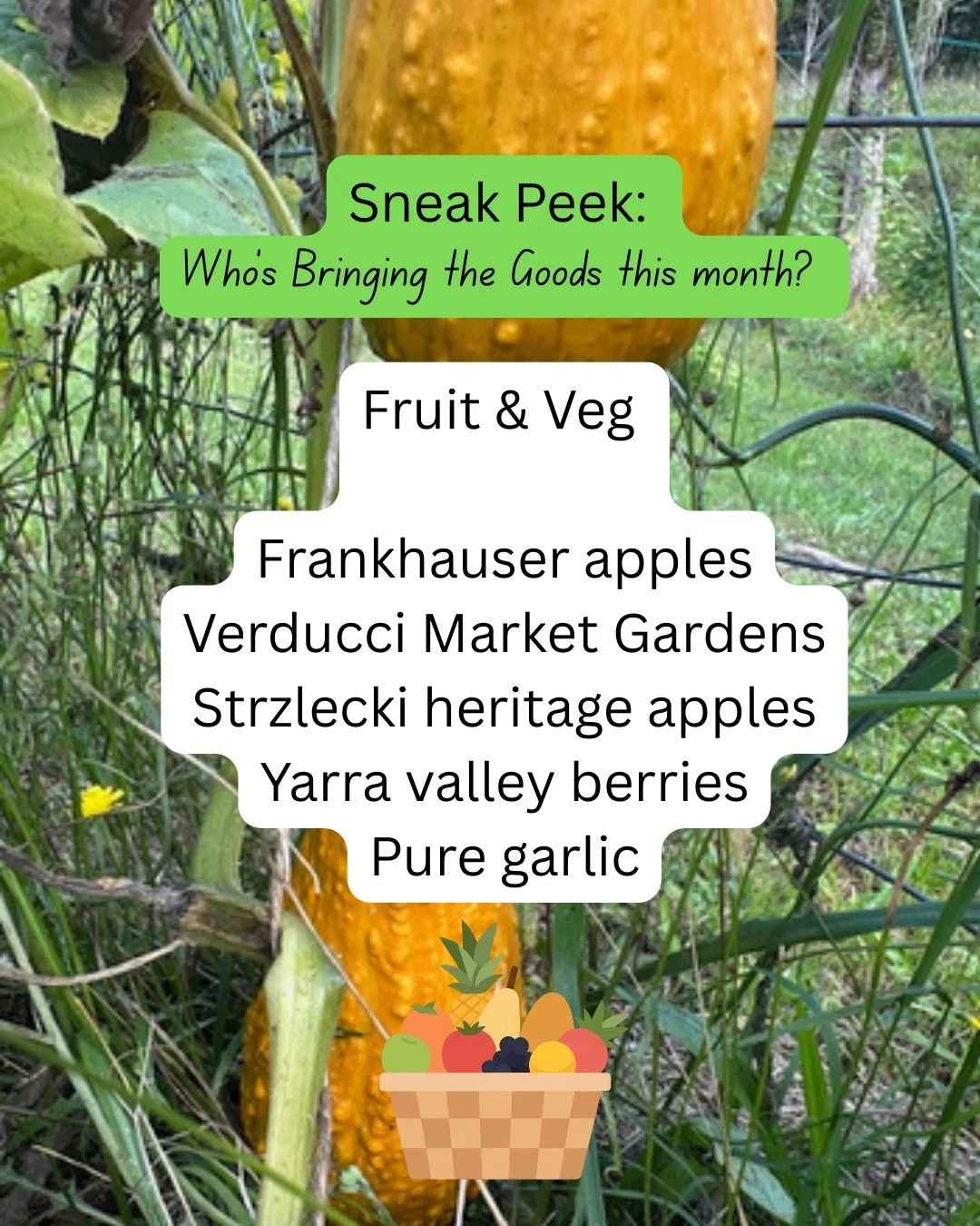 The Full Lineup is Here! 👜

We are so excited to share the incredible group of makers, growers and creators joining us this week.
Our stallholders have been busy getting everything ready for you!

There&rsquo;s nothing quite like the buzz of a marke