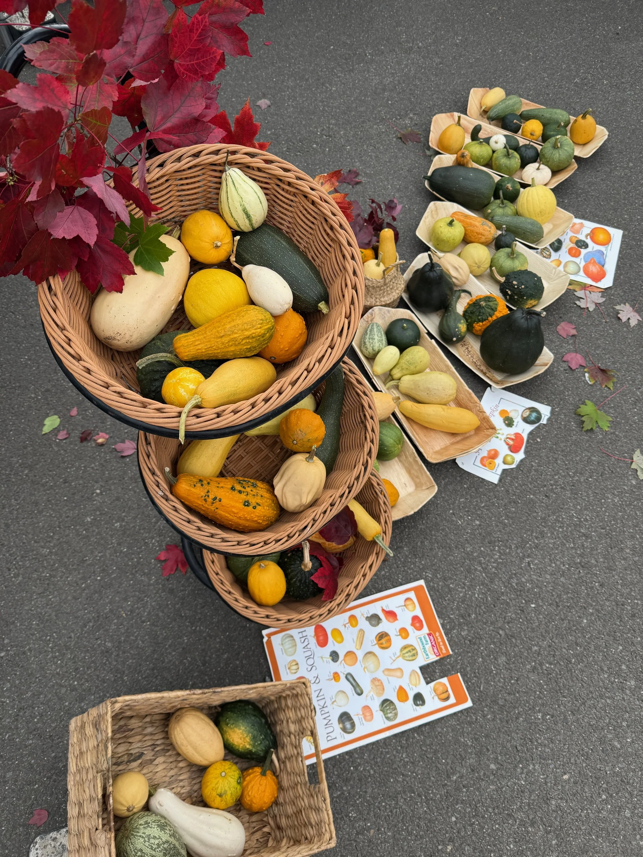 Celebrating the seasons changing: April Market Highlights