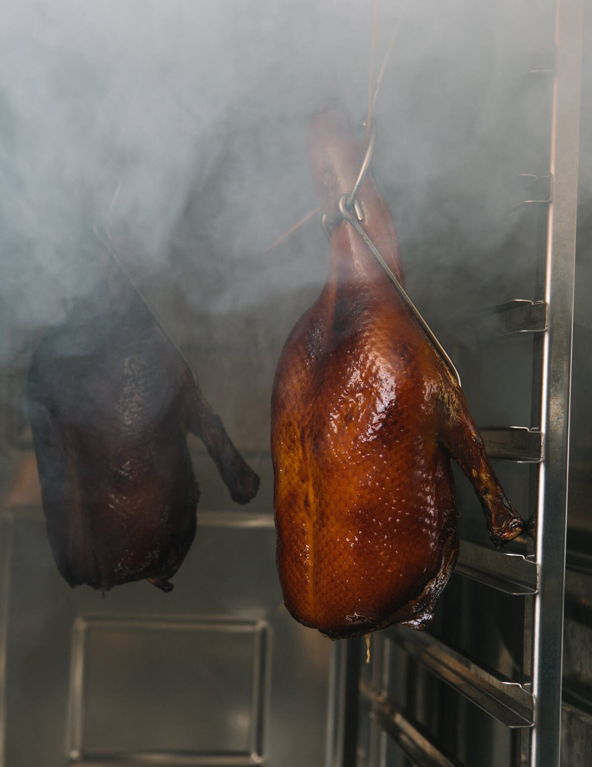  Duck being smoked 