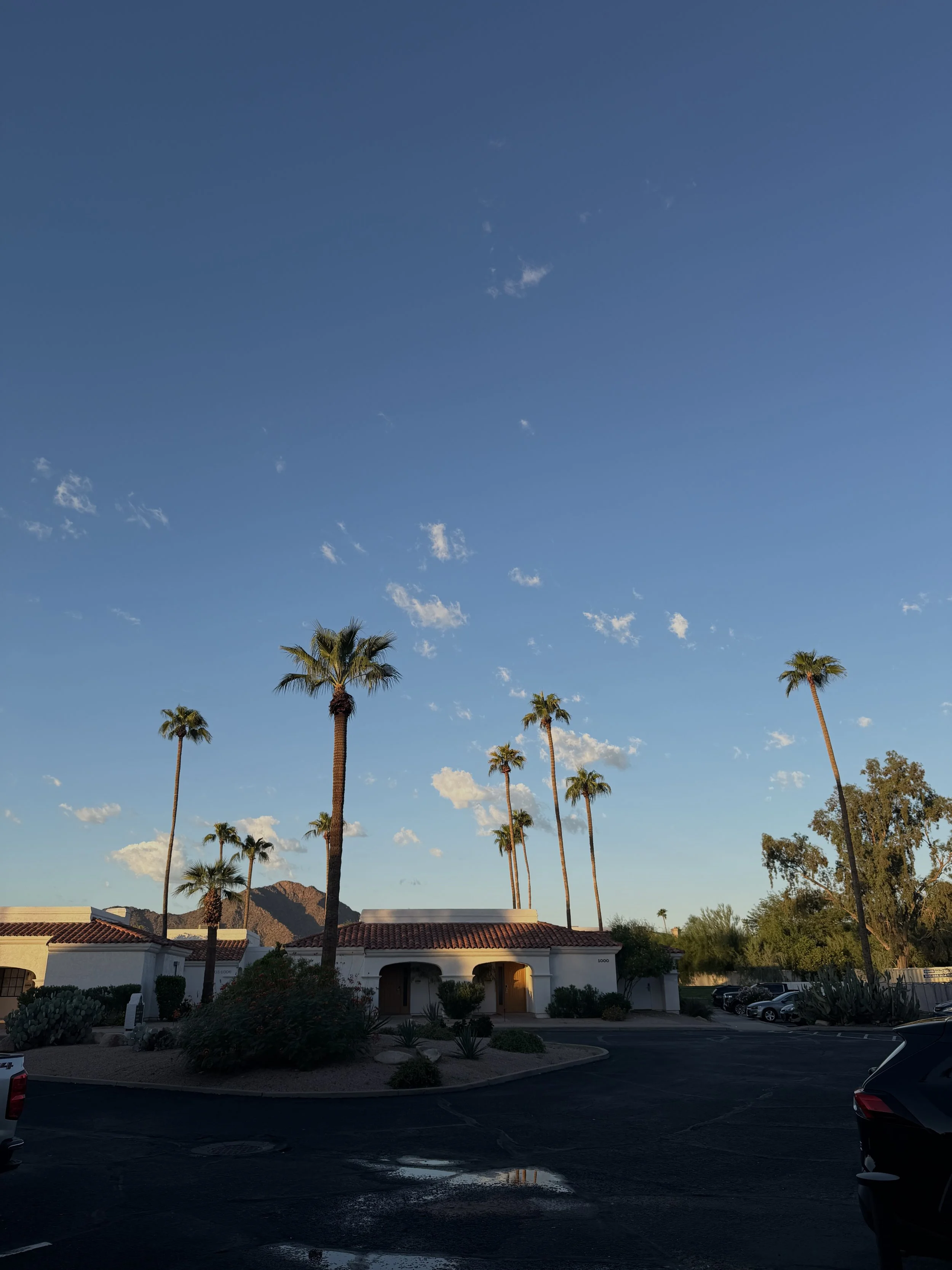 Friday Fives, 10.16.2026