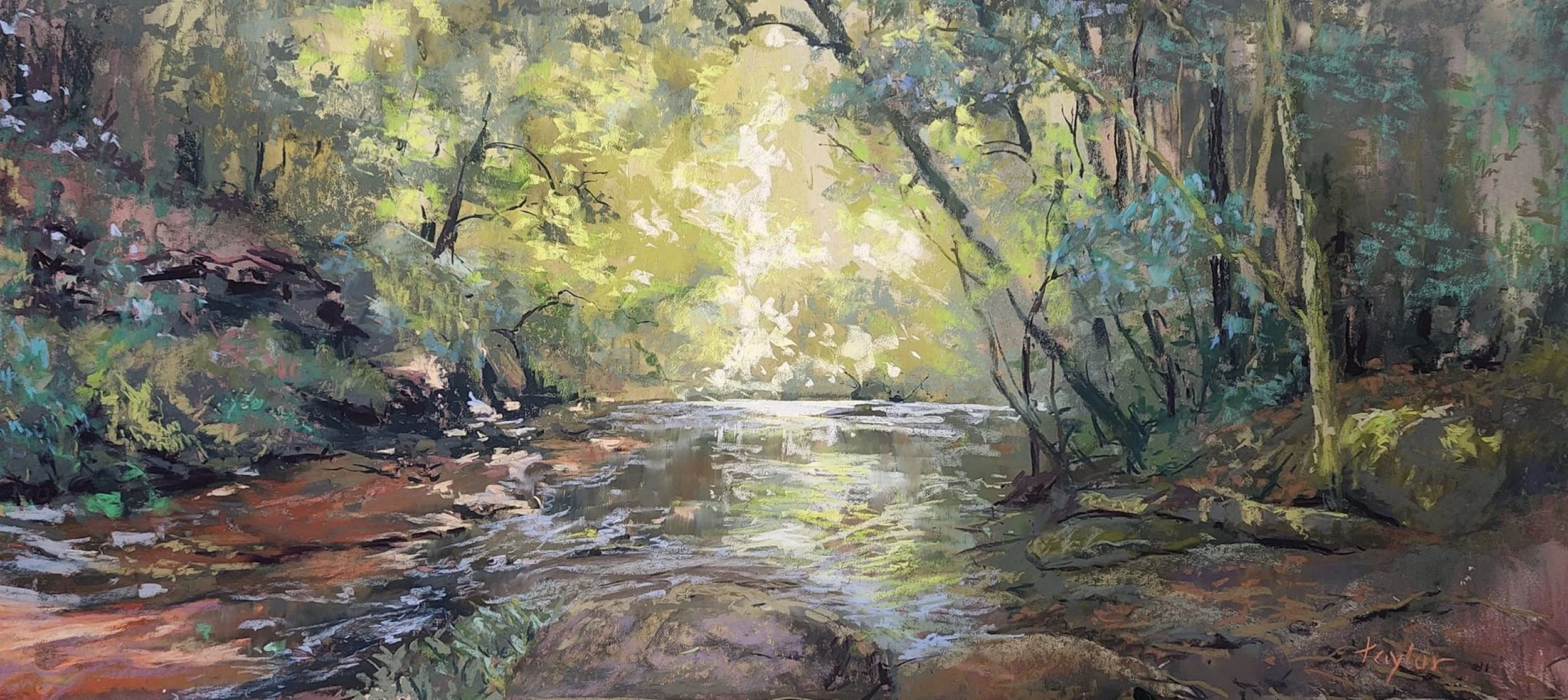 forest light.jpg