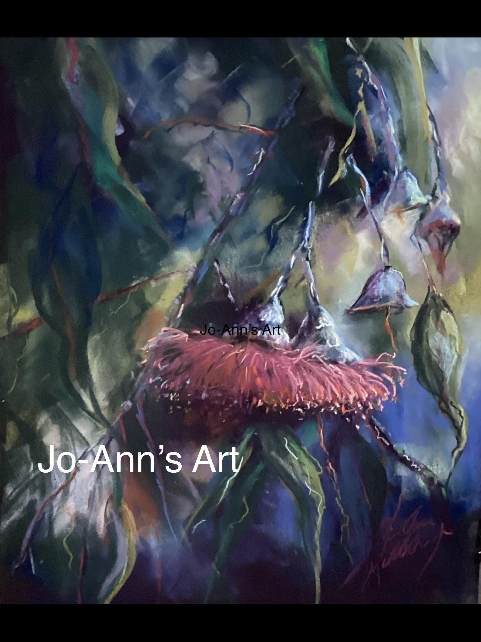 Jo-Ann Middlebrough.JPG