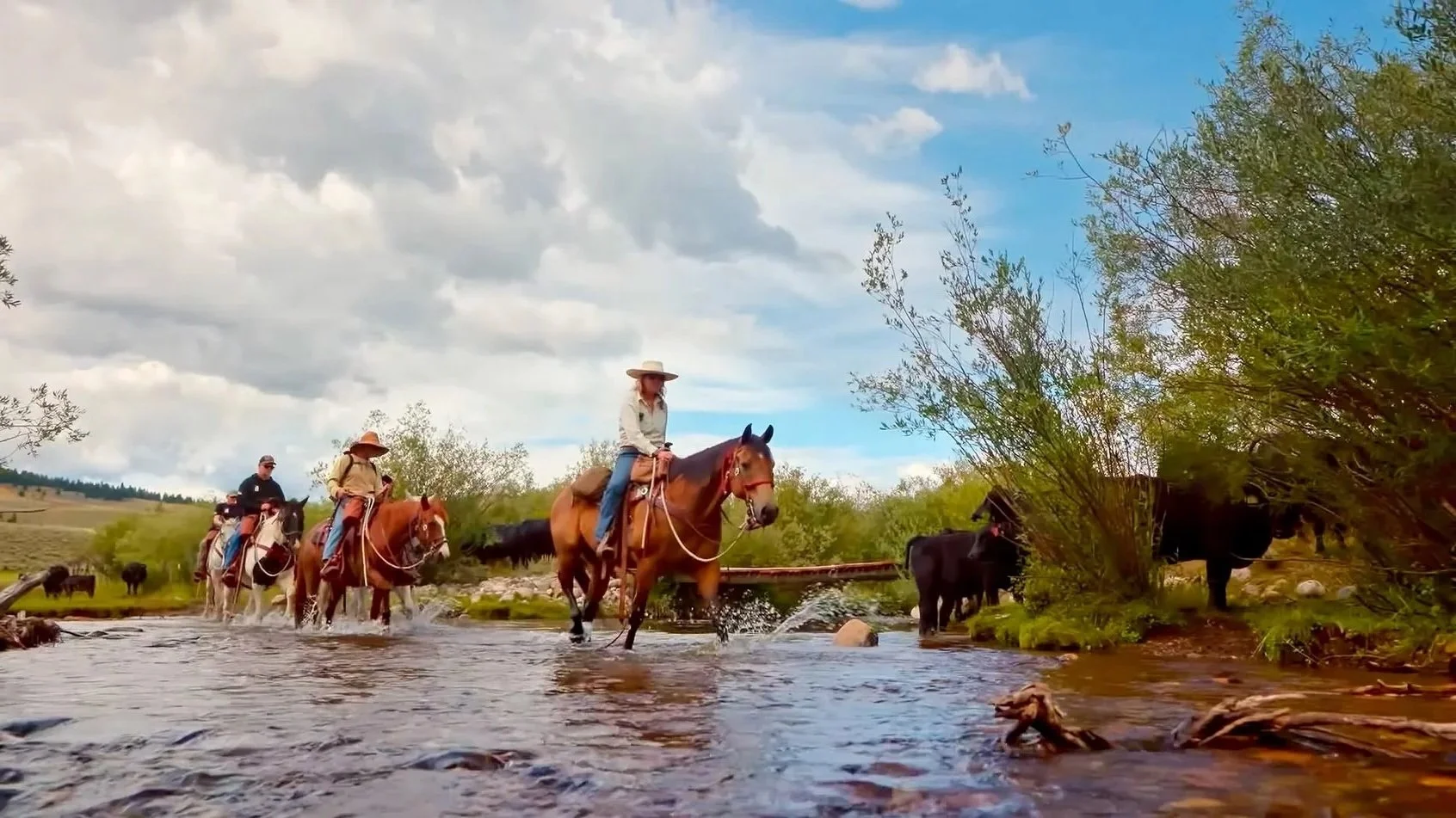 FR Equine Program — Freedom Ranch For Heroes