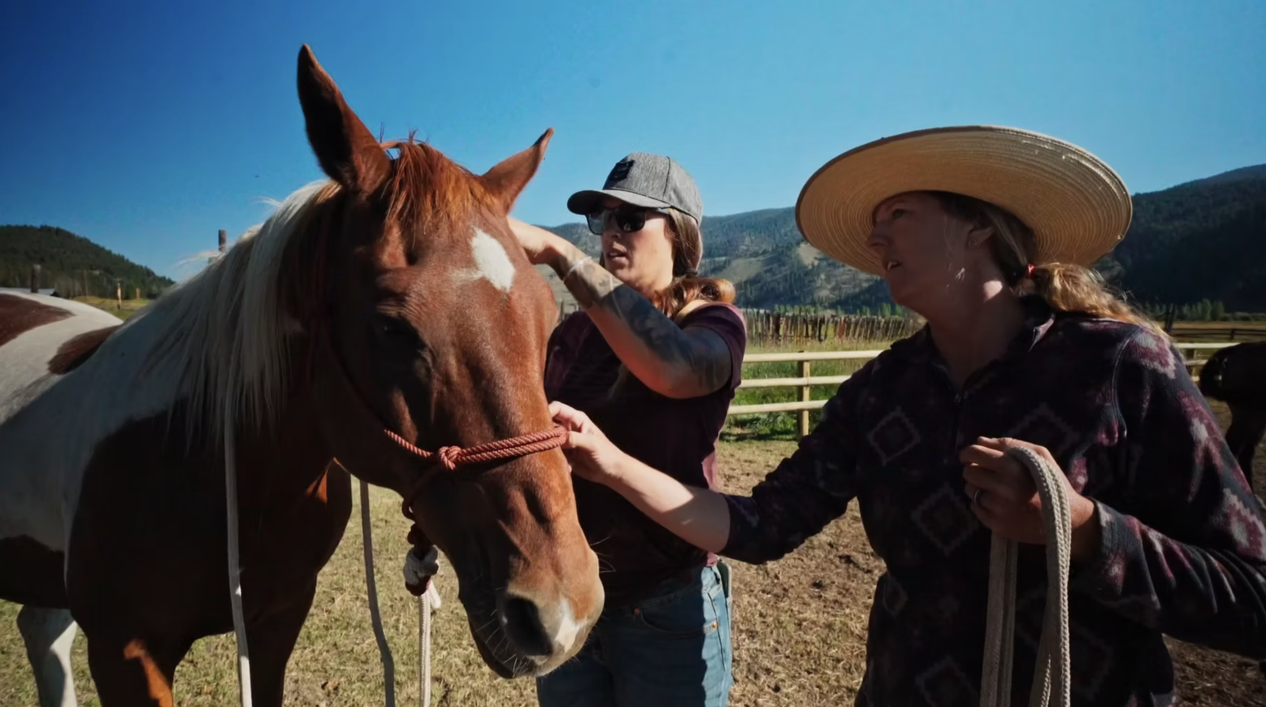 Screenshot 2025-09-28 at 12.52.34 PM.png