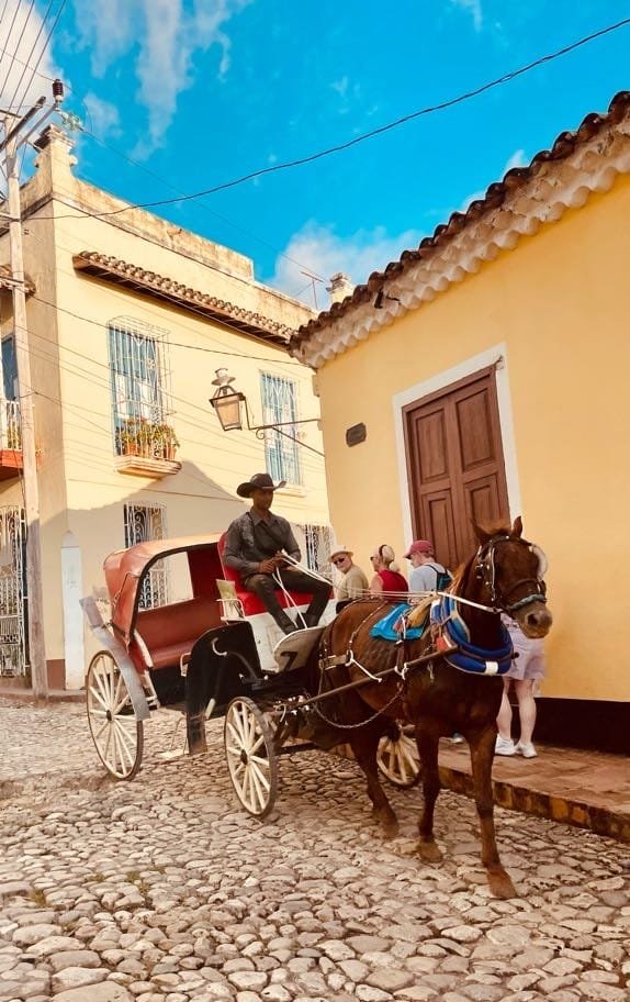 horse-drawn-carriage-cobblestone-street.jpg