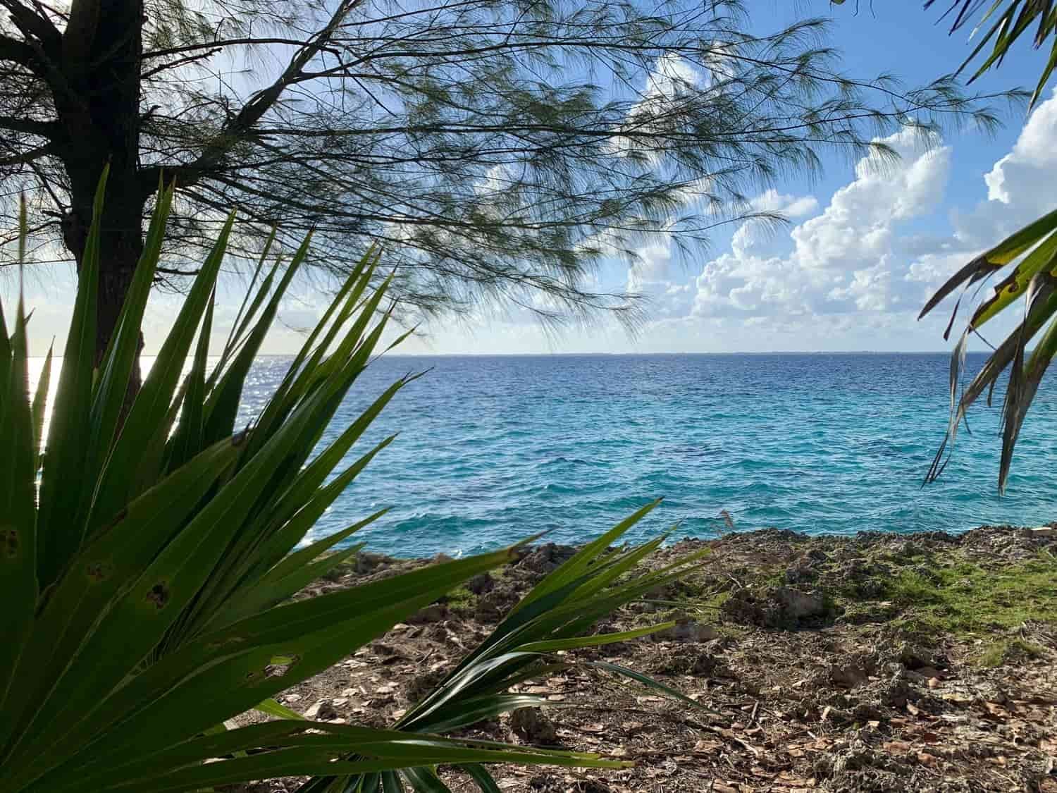 tropical-coastline-view-cuba.jpg