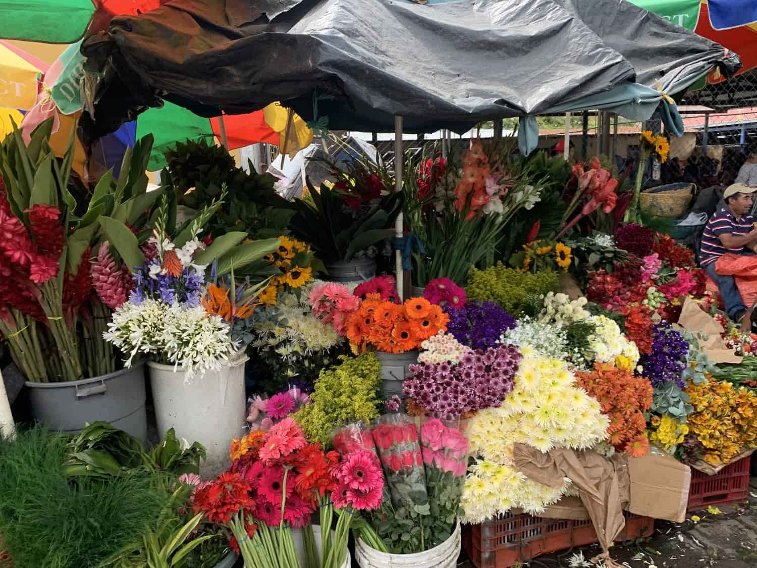 paloquemao-market-flower-burst.jpg