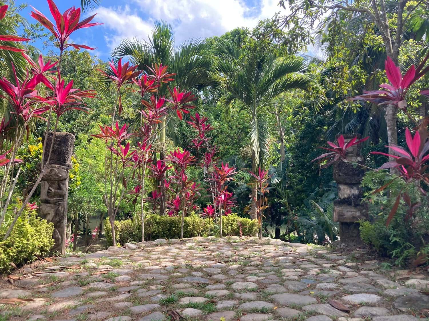 tropical-garden-colombia.jpg