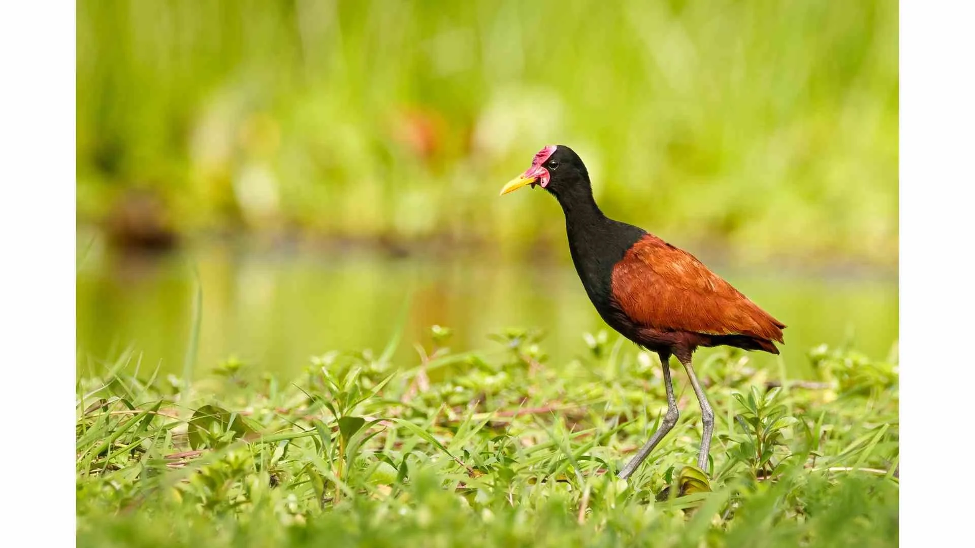 Newsletter Photos for Mailchimp (1).jpg