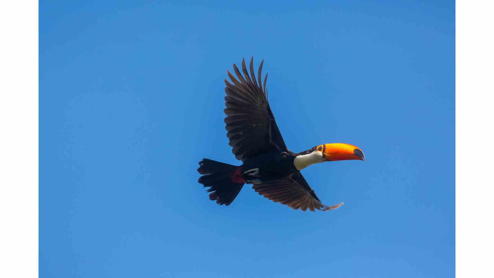 Newsletter Photos for Mailchimp.jpg