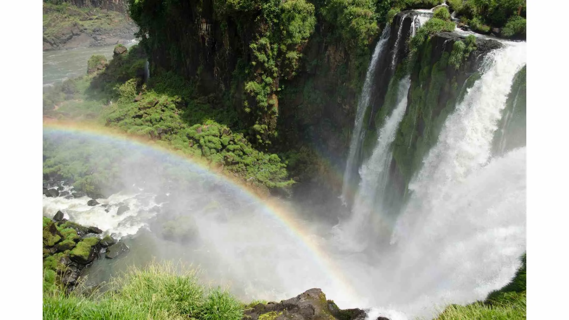 Newsletter Photos for Mailchimp (3).jpg