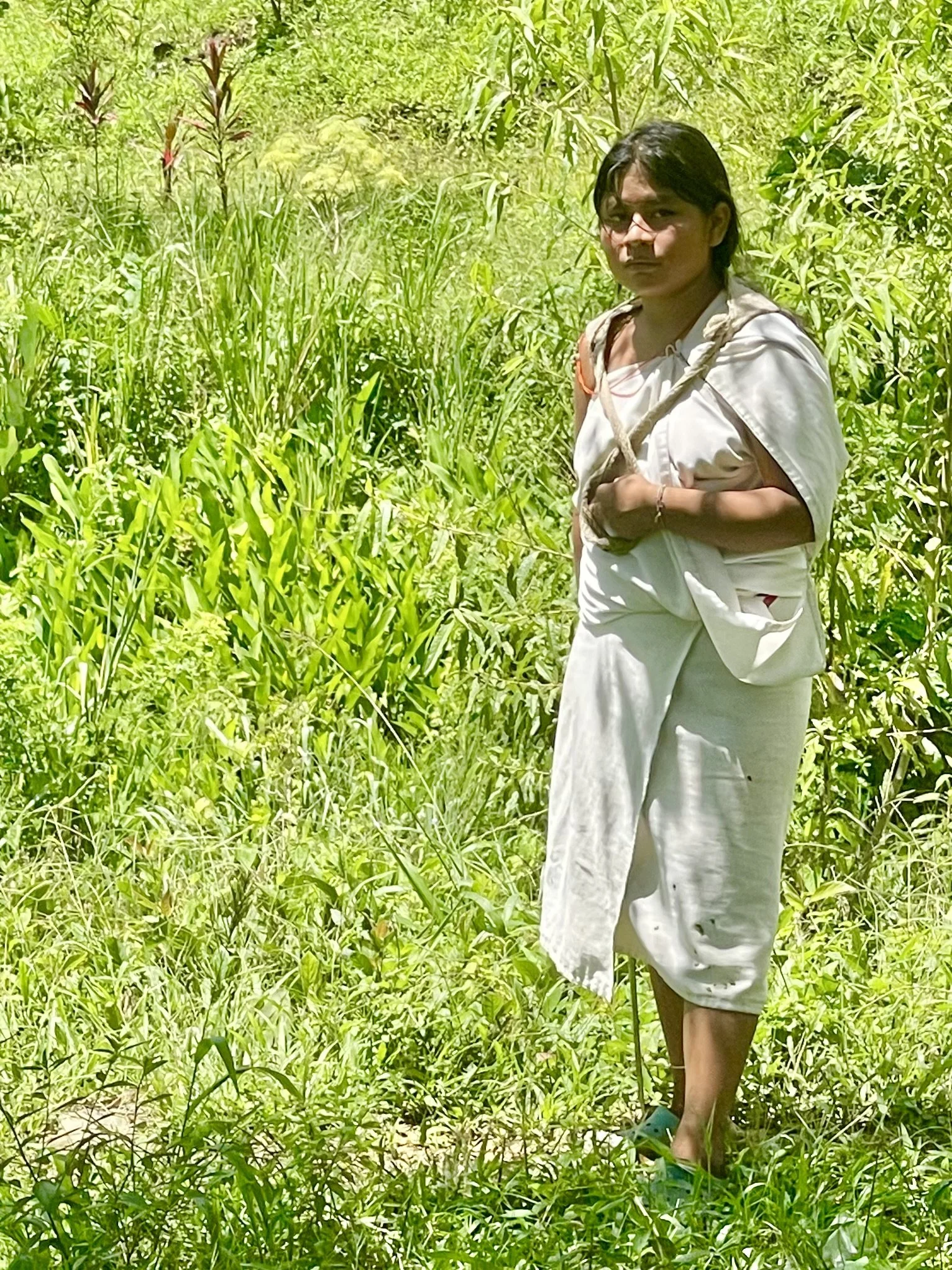 Kogi girl in grass