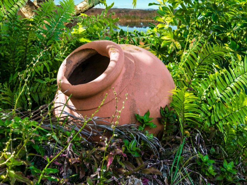 Earthenware jar (tinajon) outside in a tropical garden in Camagüey Cuba