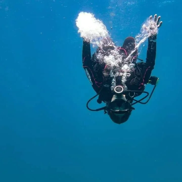 Upside down divers are awesome!
.
.
.
#freediving #dive #science #tropical #instafish #snorkeling #oceanlife #naturephotography #macrophotography #padi #photooftheday #instapic #ocean #diving #coral #scuba #aquarium #nature #sea #travel #beautiful #w