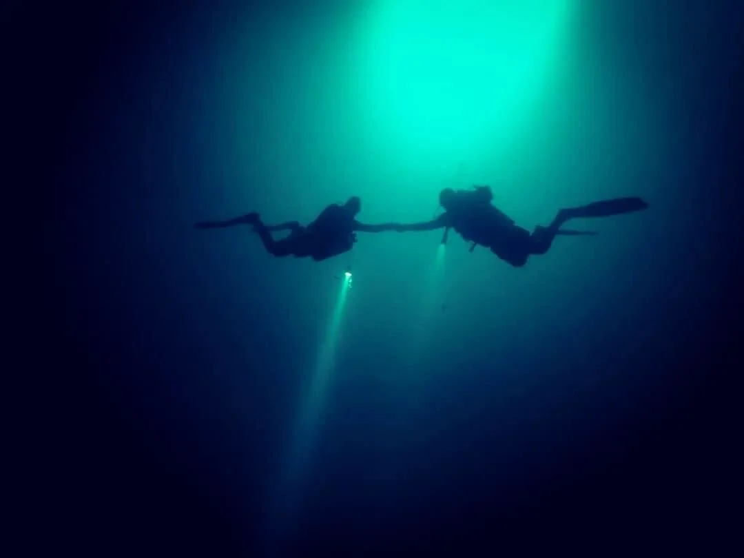 Cenote 7 bocas is like scuba diving in an alien planet. 

.
.
.
#dive #science #tropical #instafish  #naturephotography #cenote #cenotes #techdiving #technicaldivers #tdi #macrophotography #padi #photooftheday #instapic  #diving #coral #scuba #aquari