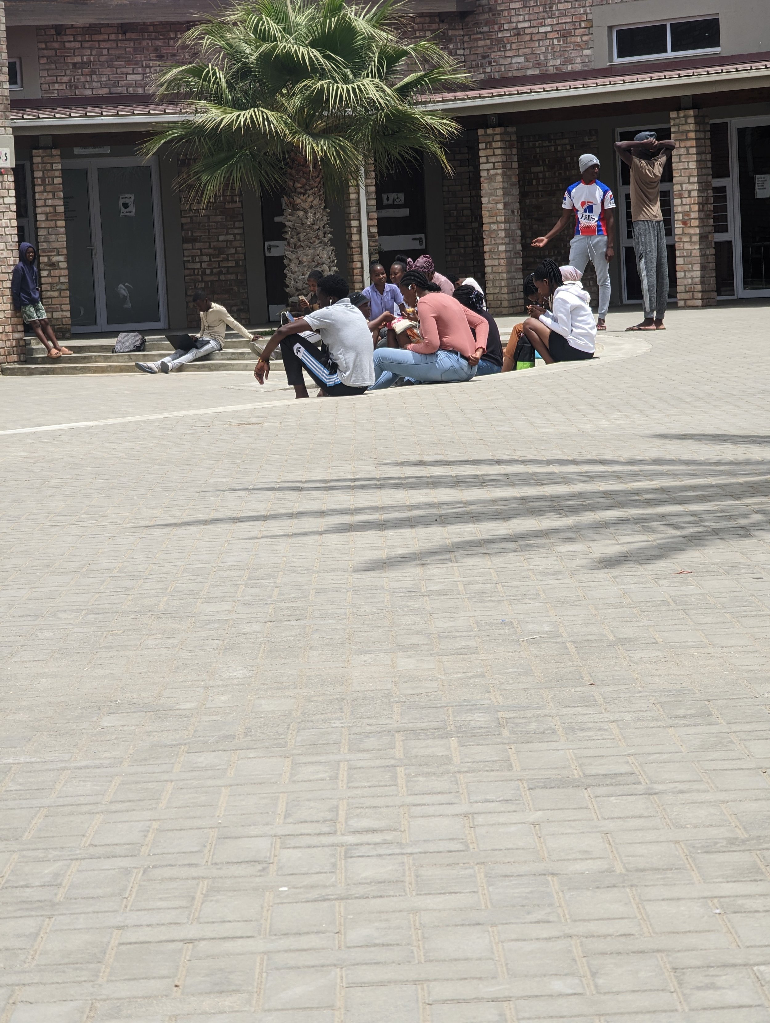 Group of people sitting and standing outside a brick building with a palm tree, some are socializing and others using their phones.