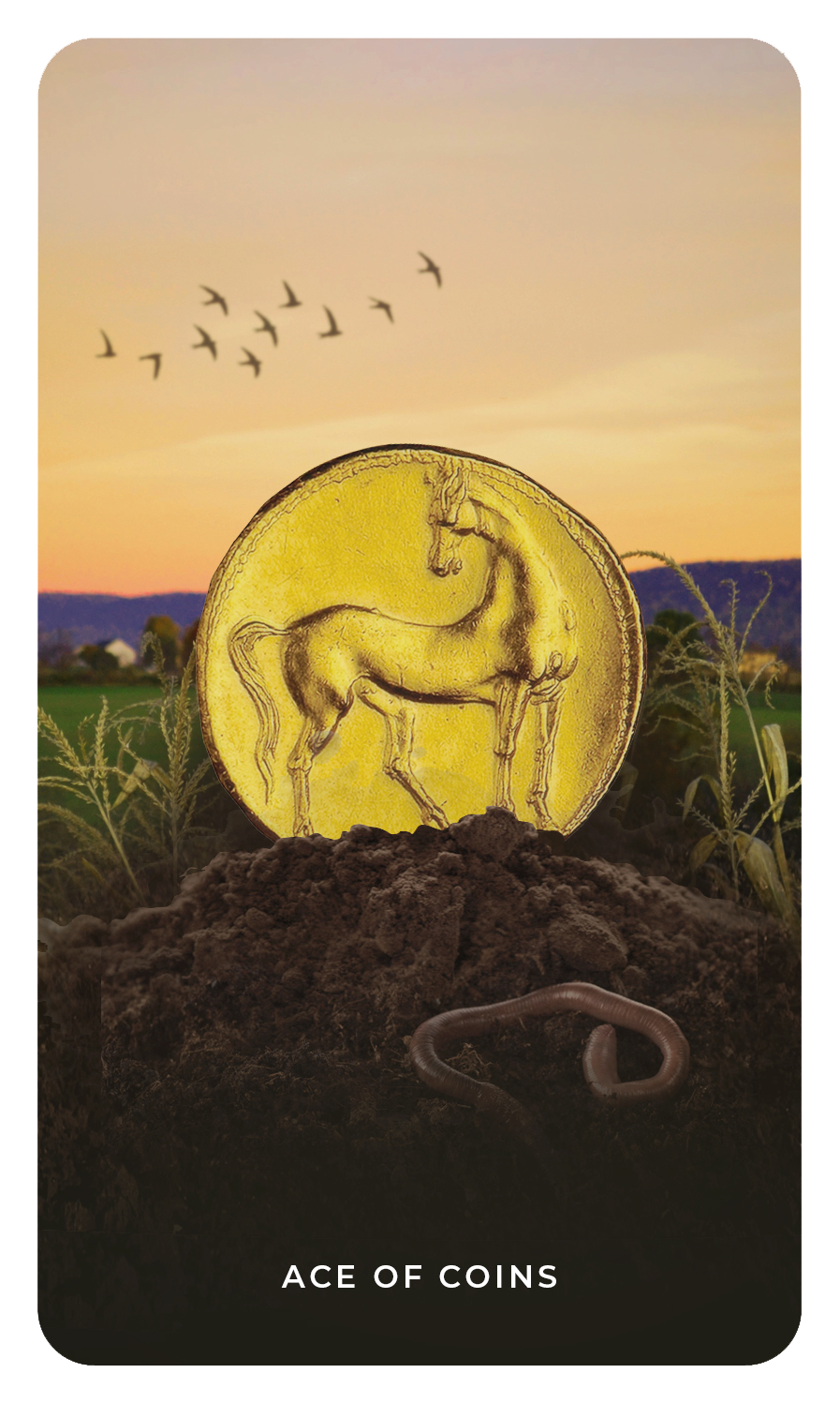 ACE-OF-COINS.png