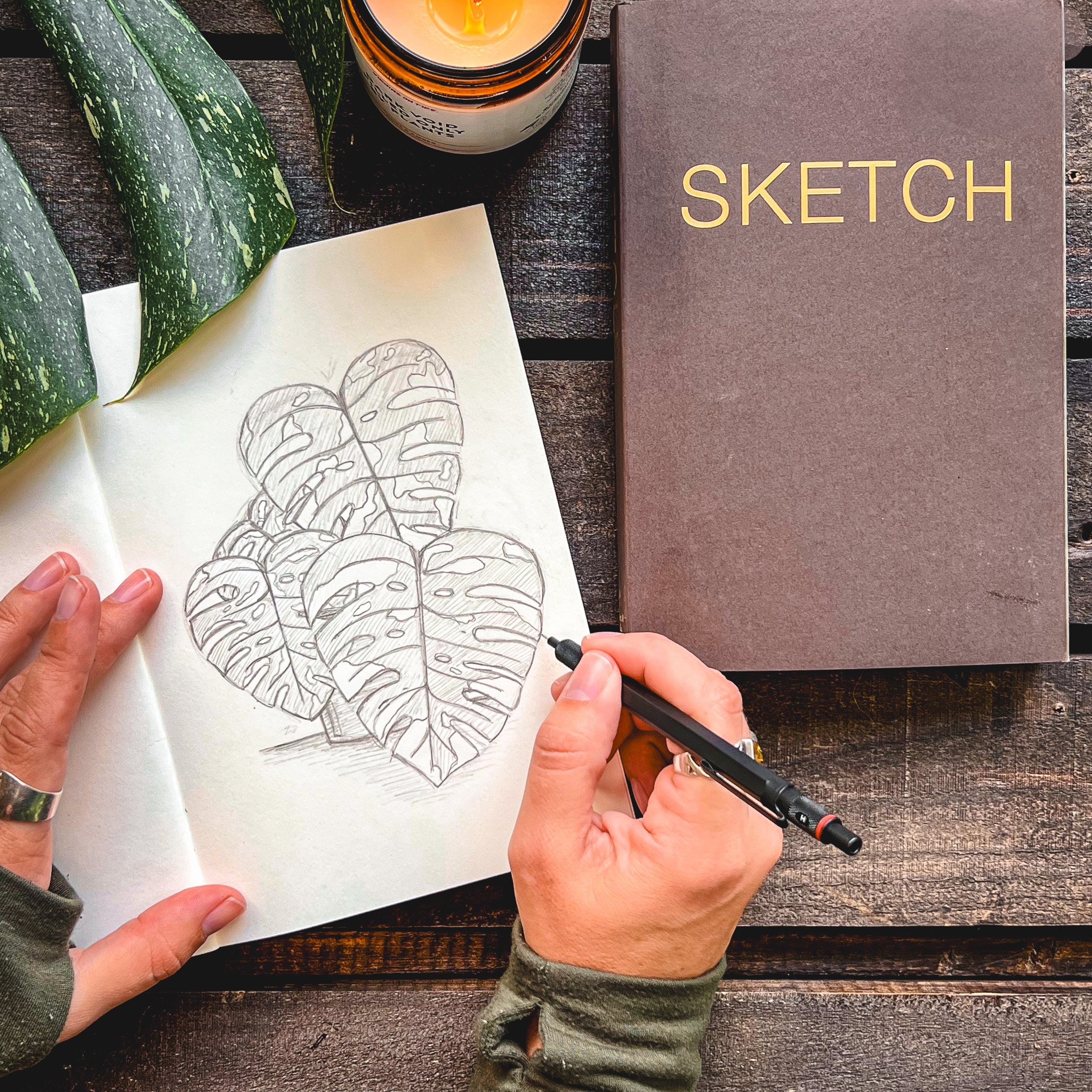 hands holding pencil over open sketchbook with pencil drawing of emmie the thai monstera