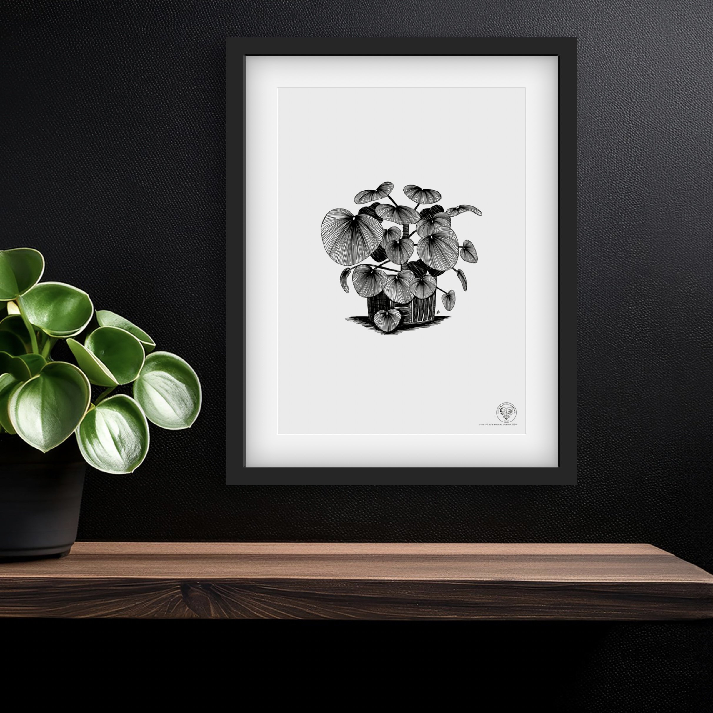 Tiny - Baby Peperomia digital print file