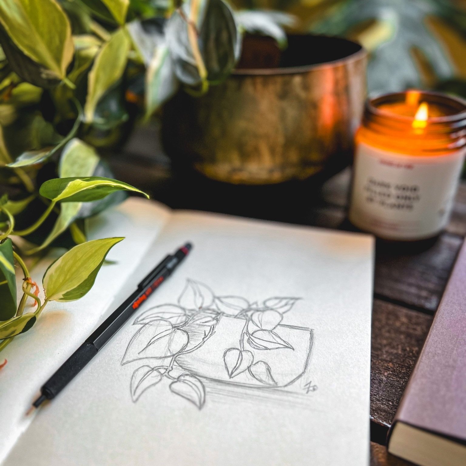 open sketchbook of pencil drawing of Felix the heartleaf philodendron.