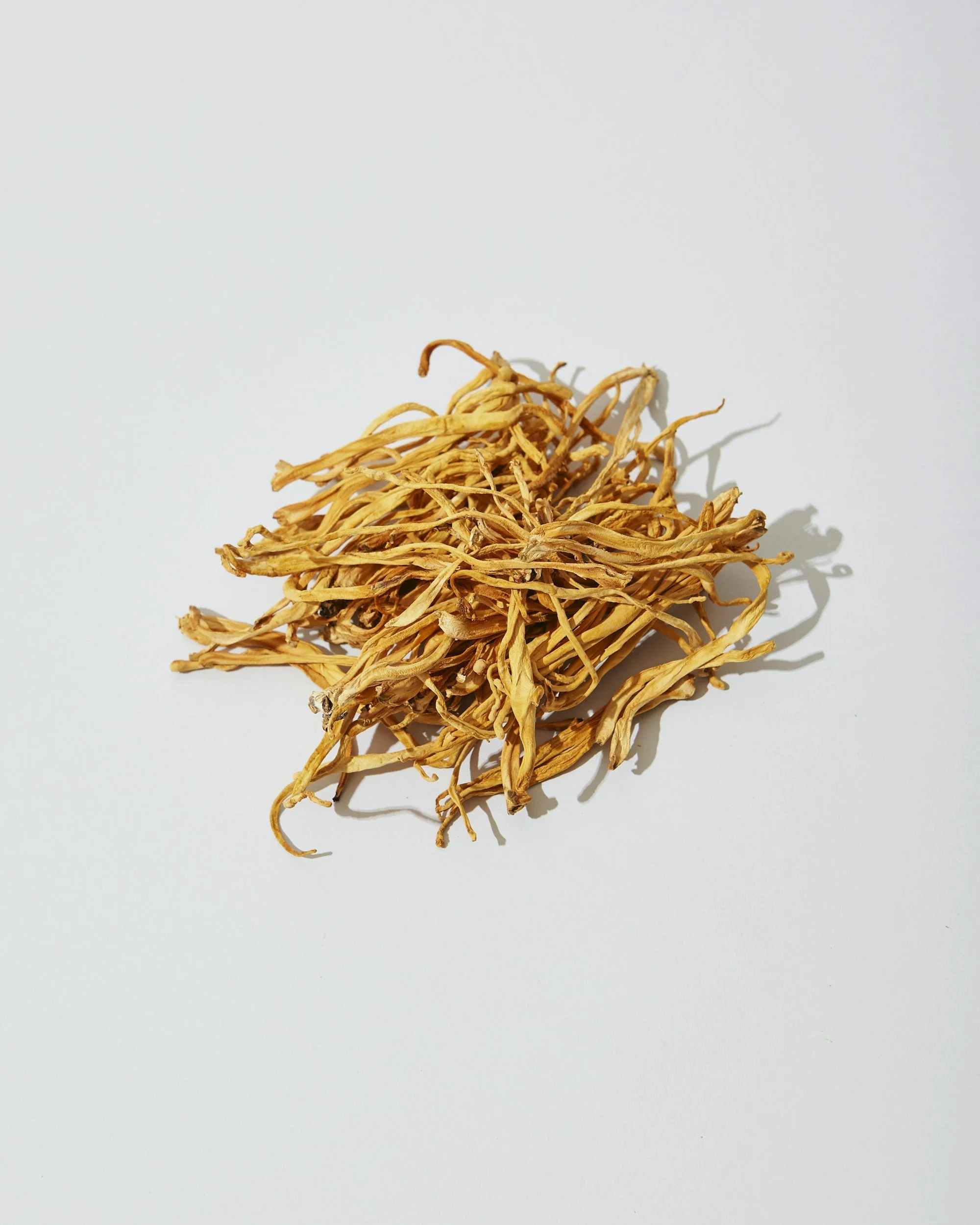 Cordycepin Extract