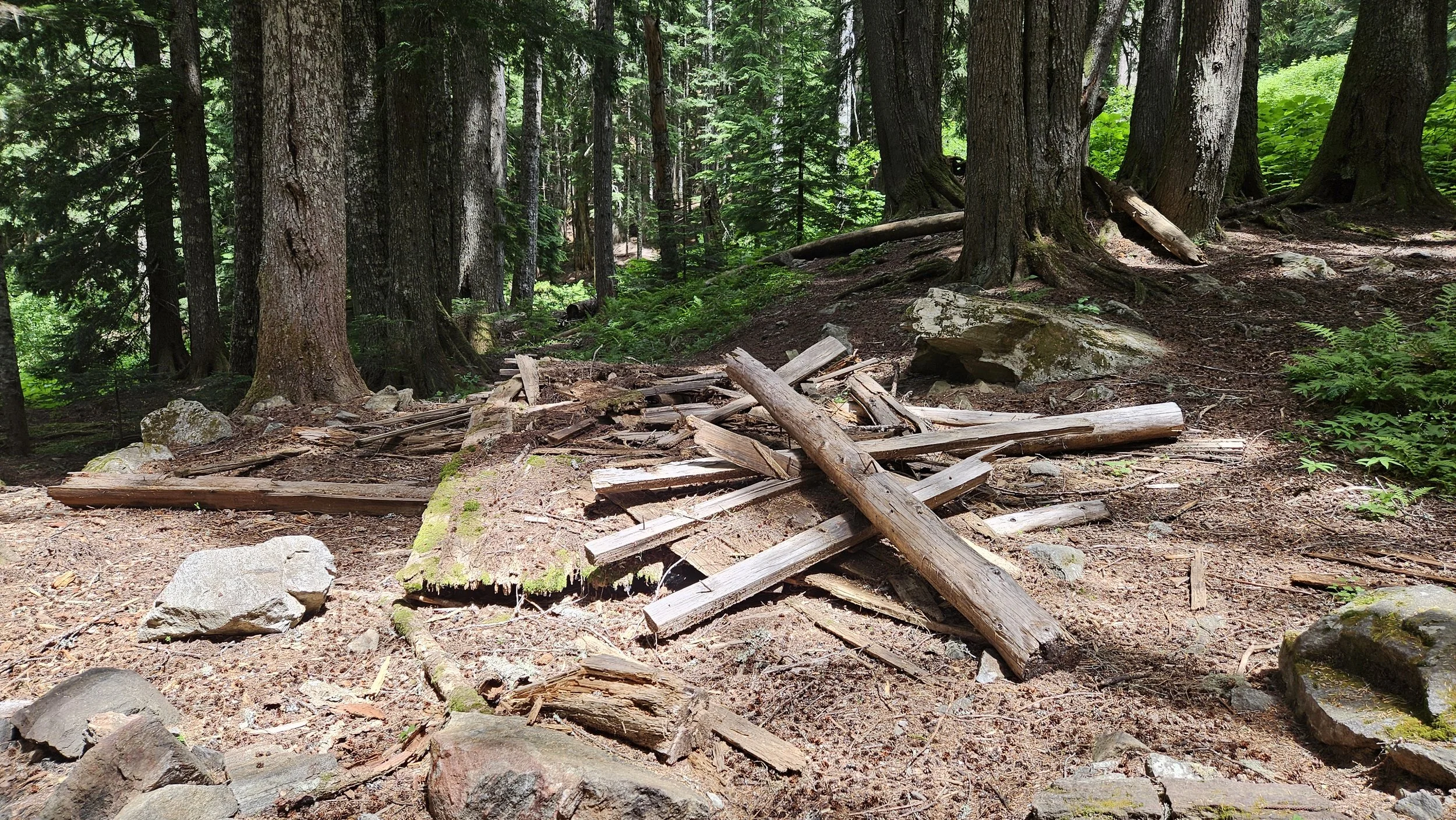 North Fork Sauk & almost Red Pass