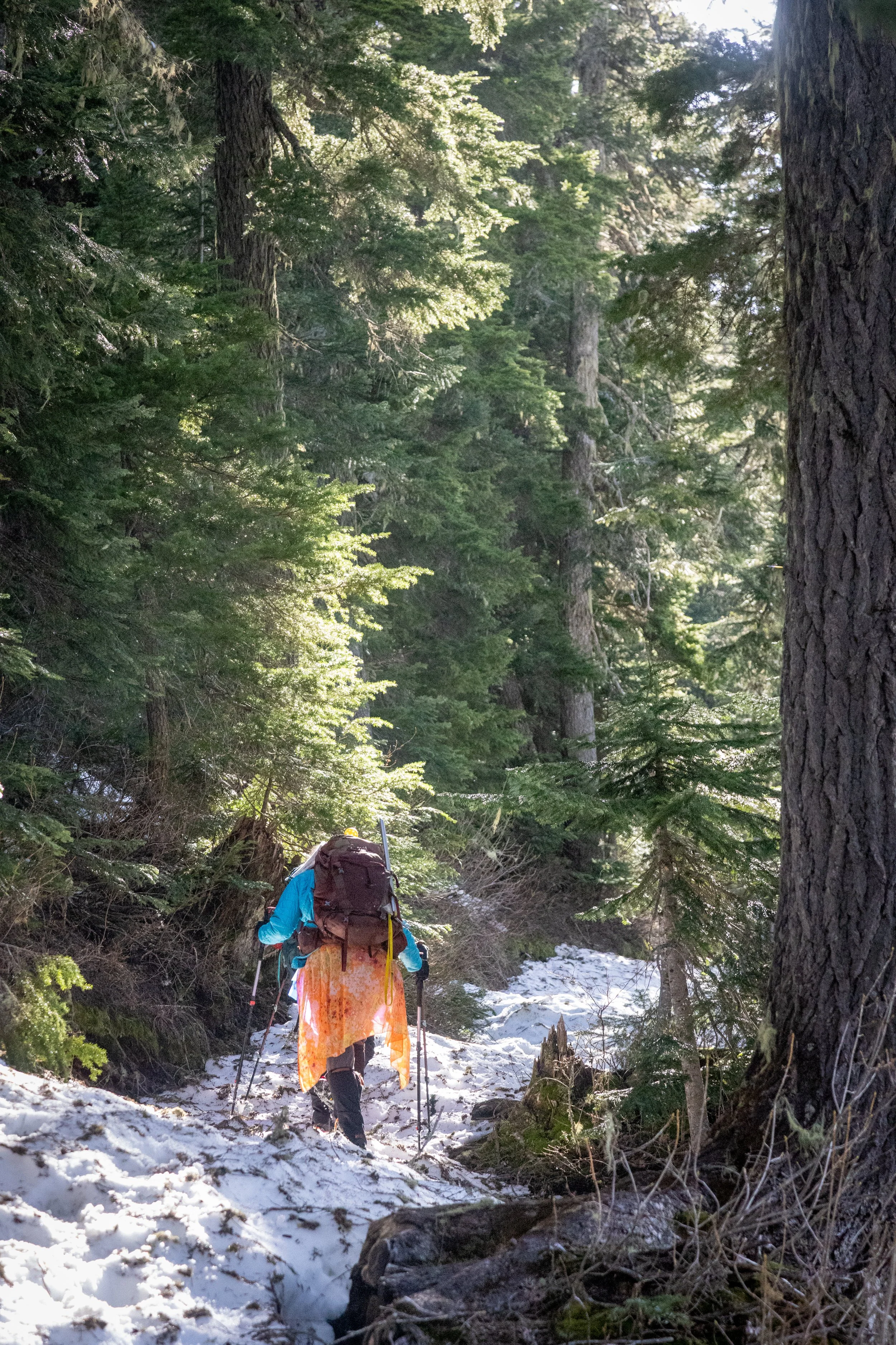 Martina on final push to Hannegan Pass