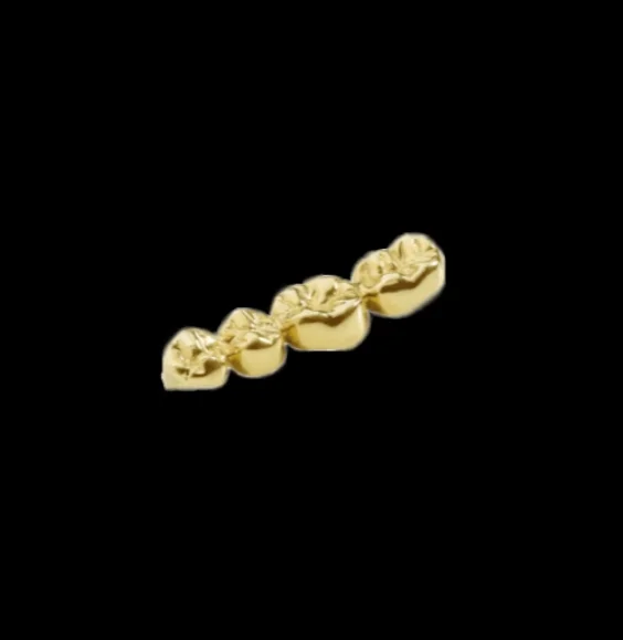 PFM-Bridge-bbg2-1-e1.webp (Copy)