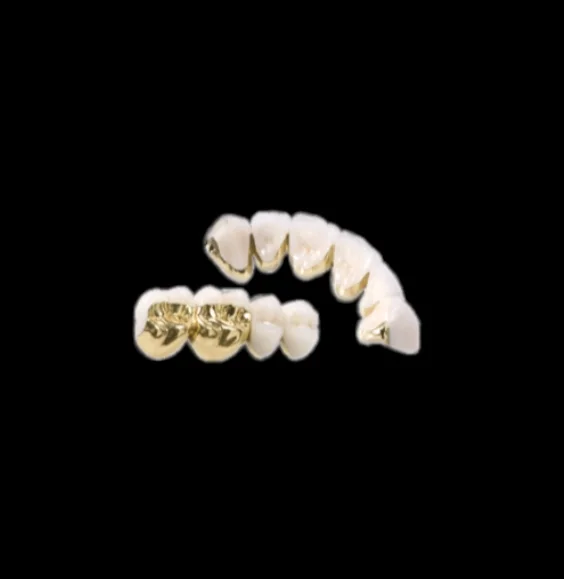 PFM-Bridge-bbg4-2-e1.webp (Copy)