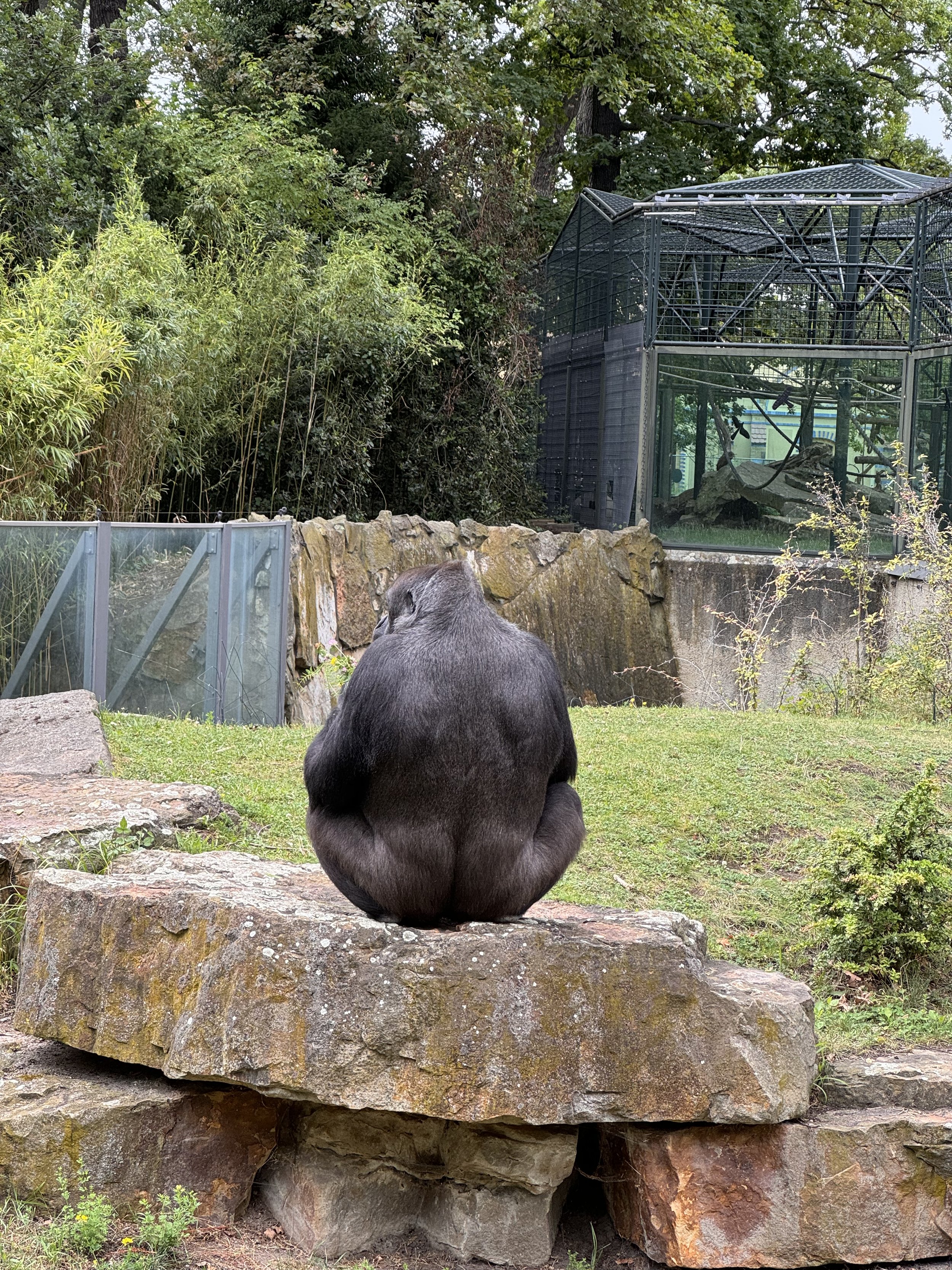 berlin zoo 7-3.jpeg