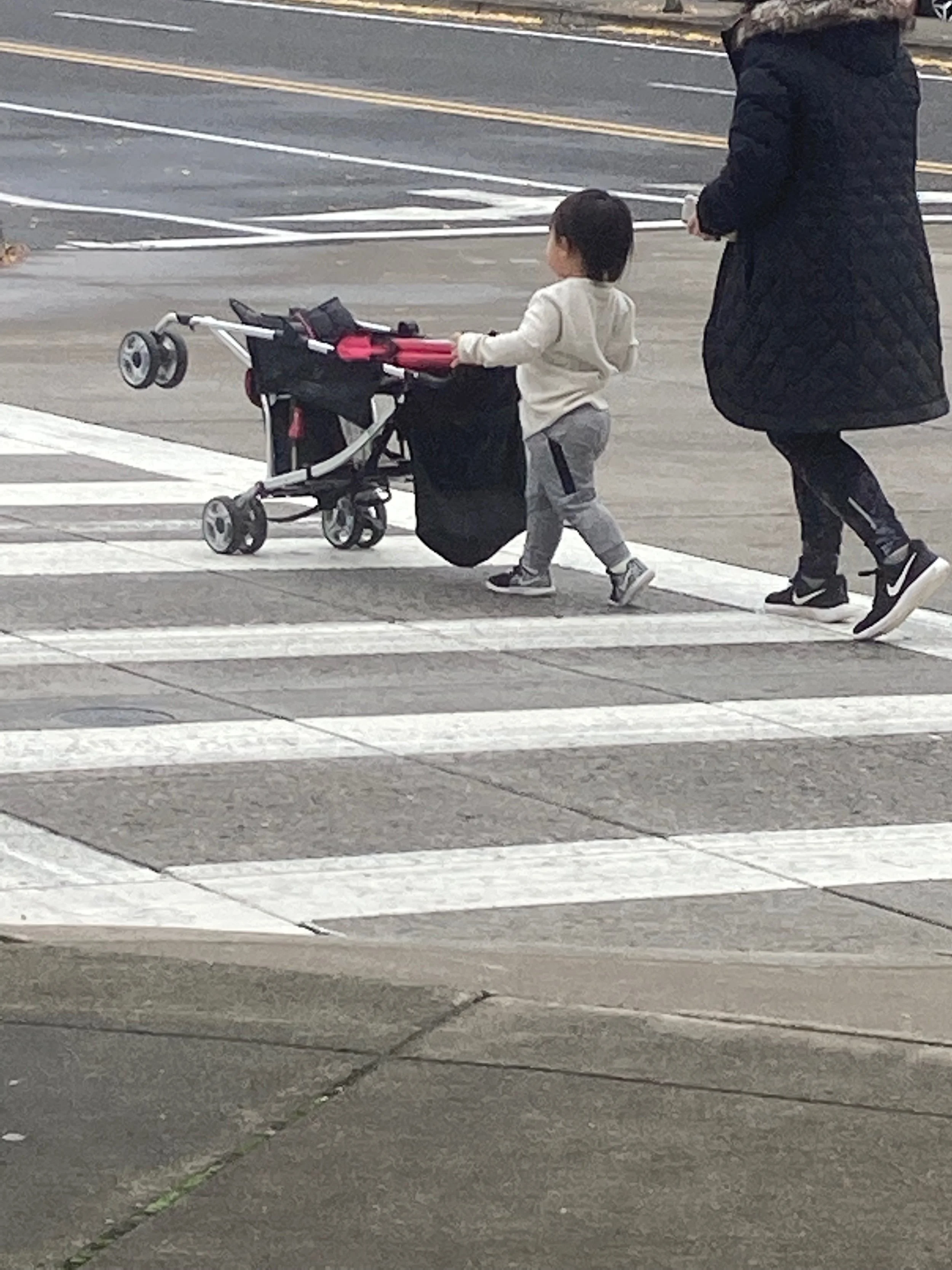 I loved this little boss. Didn't need no stroller