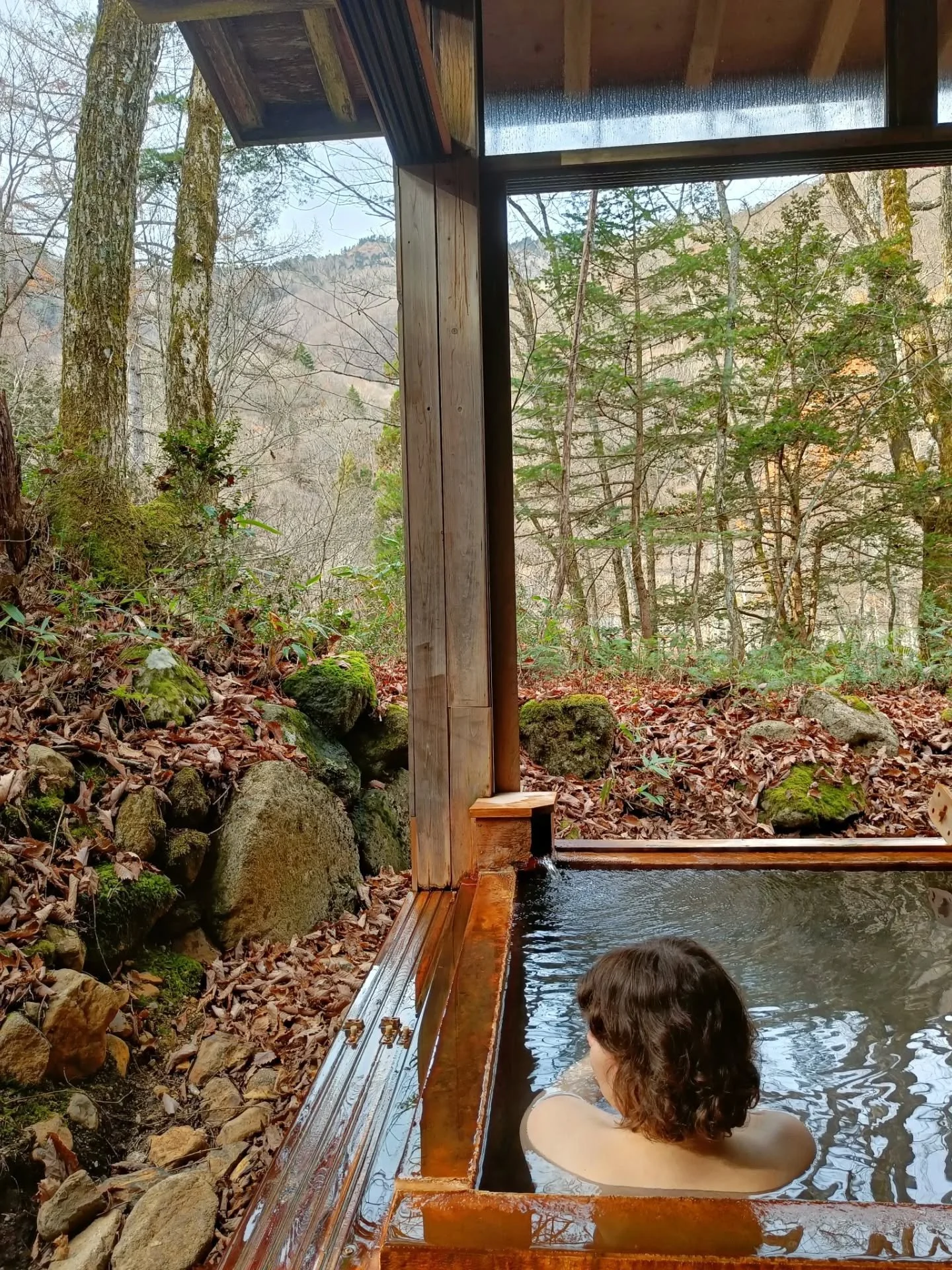 Mono no aware - &quot;the beauty of things passing&quot;. Coming to peace with everything that is. 
To live life with intention.

Memories from Japan 2024.