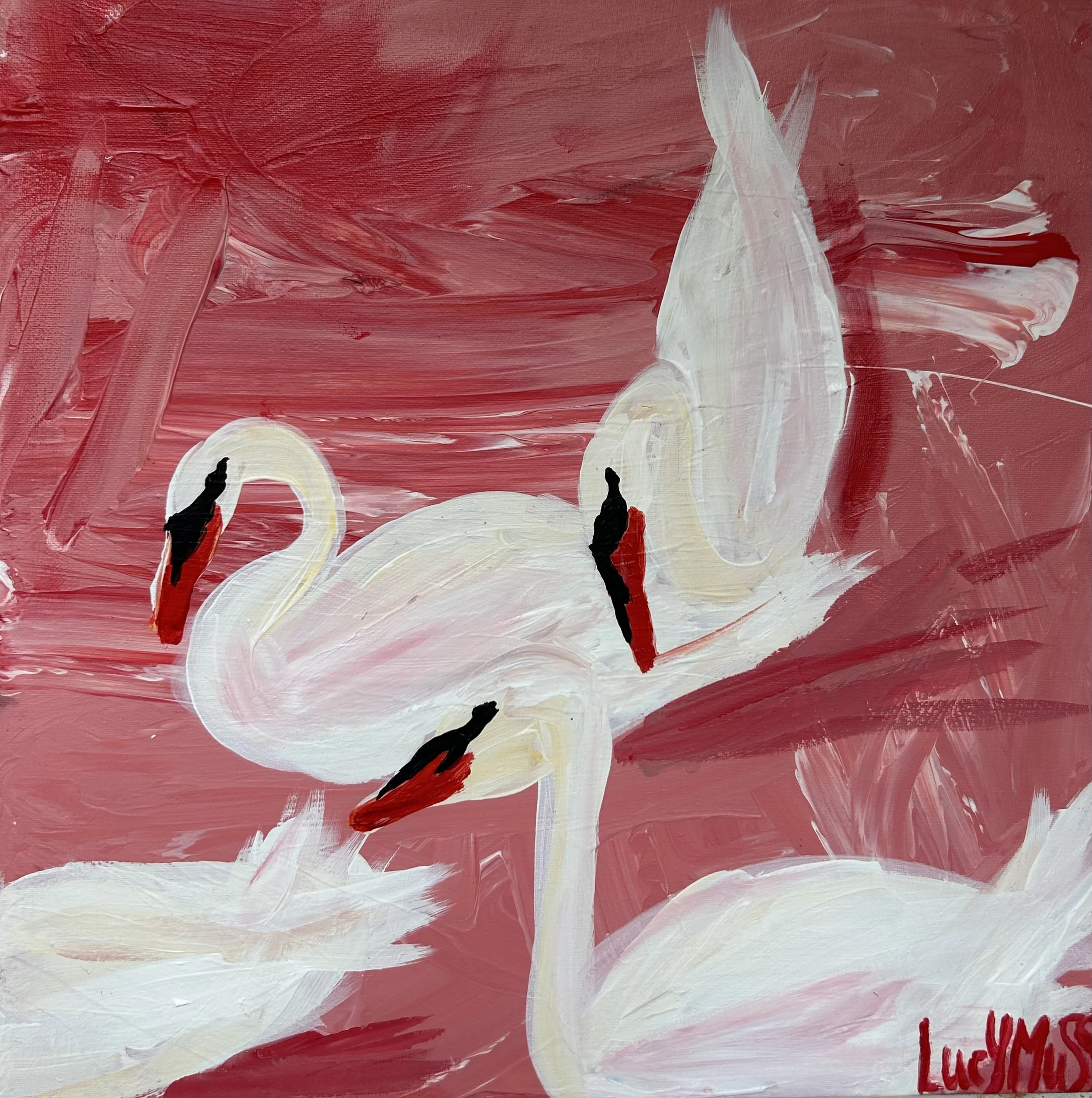 Dipping Swans