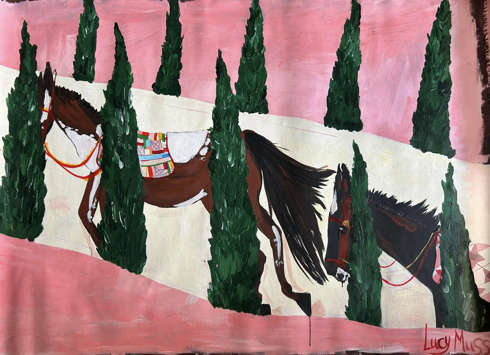 Mountain Ponies