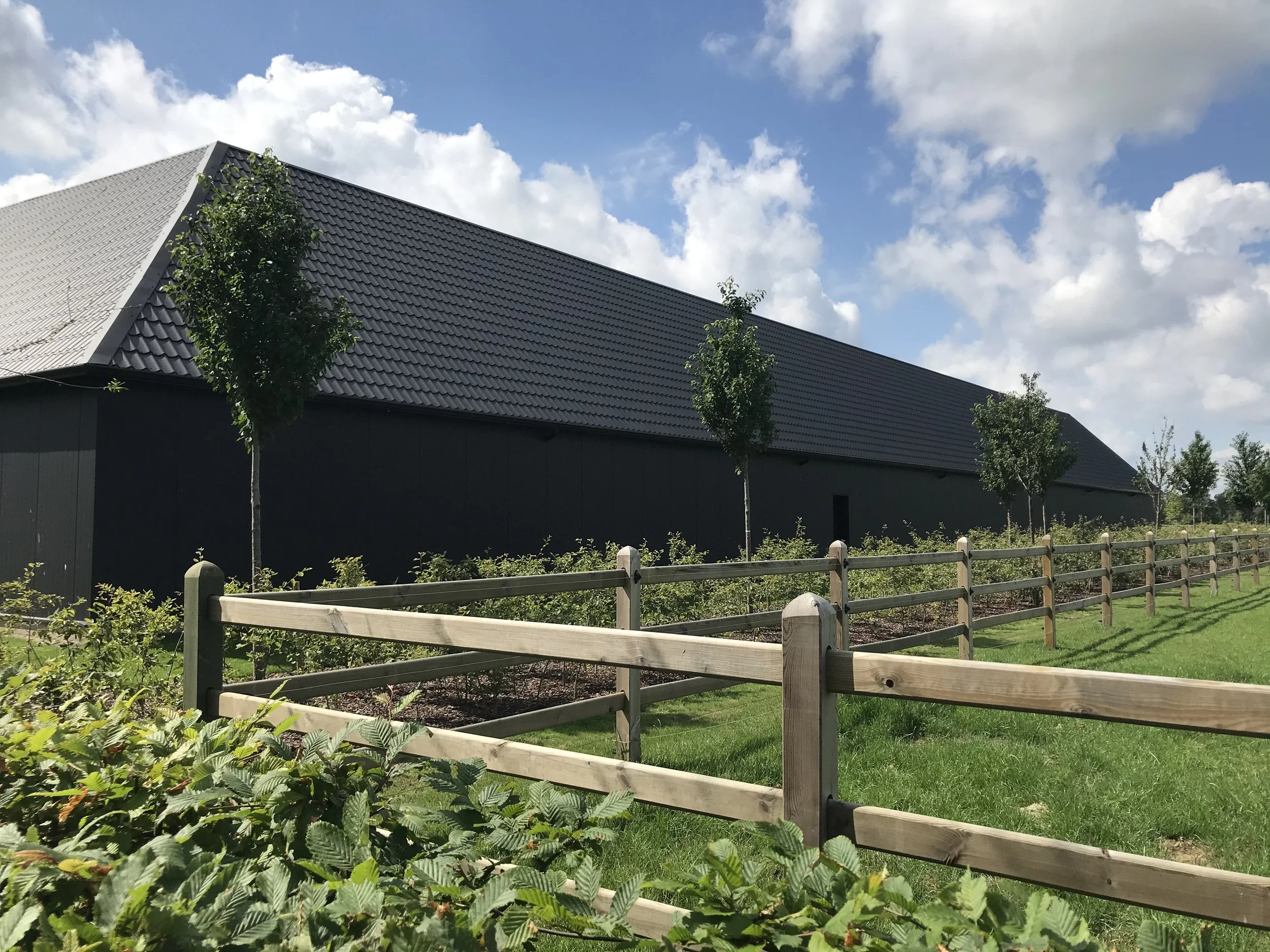 ASHFORDFARM BLACKBOX BOCHOLT