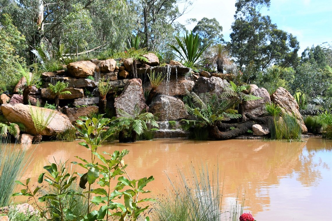 Award-winning garden in Olinda